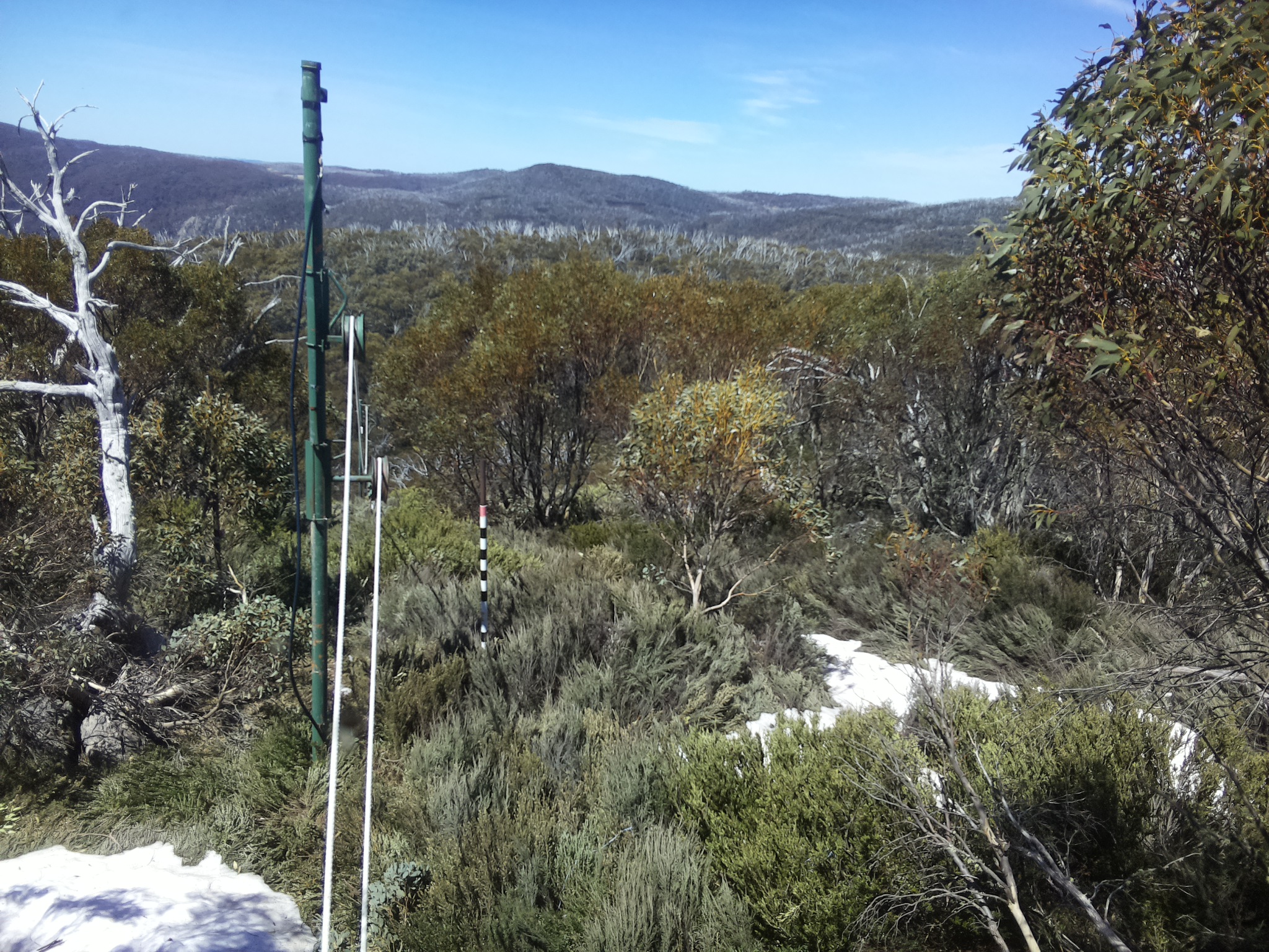 Bogong Web Cam 12:30pm Thursday 16th of October 2025