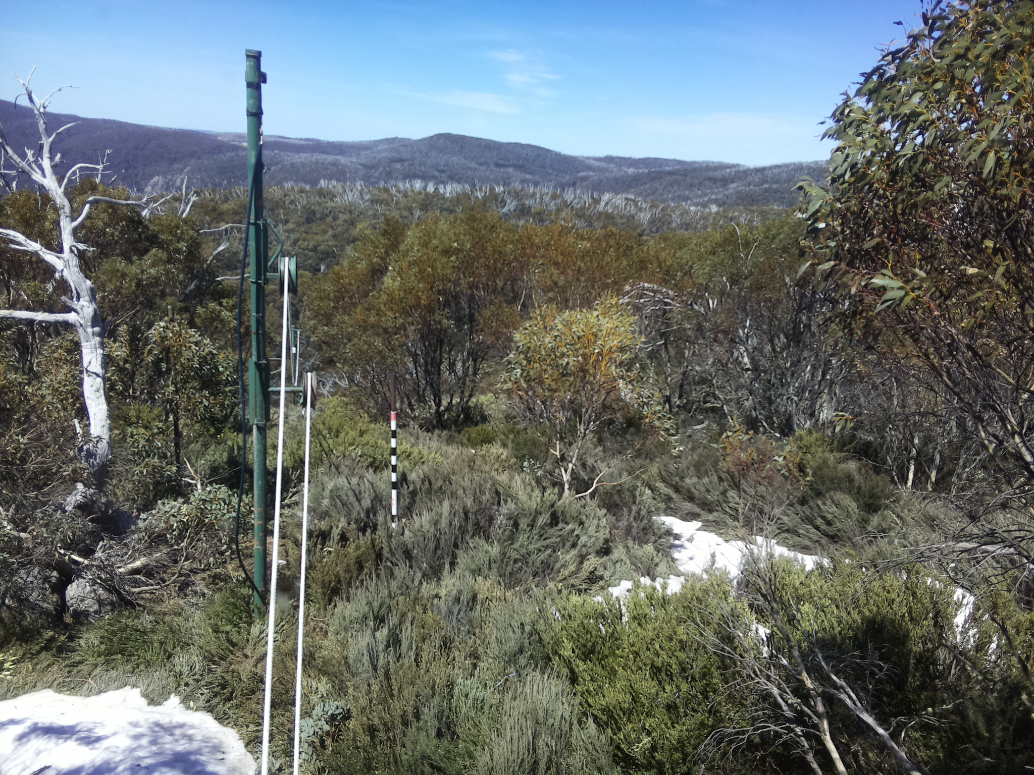 Bogong Web Cam 12:40pm Thursday 16th of October 2025