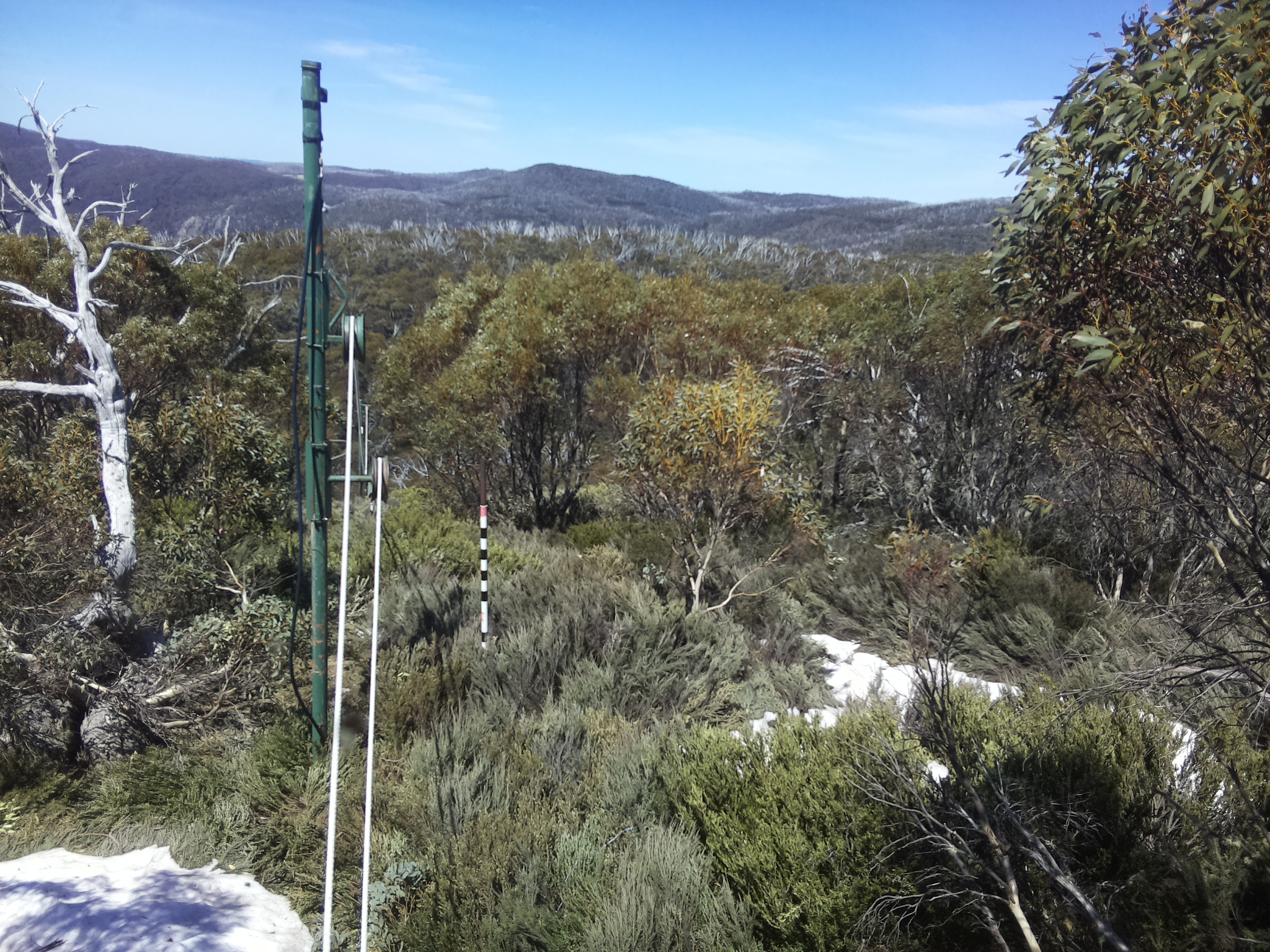 Bogong Web Cam 1:00pm Thursday 16th of October 2025