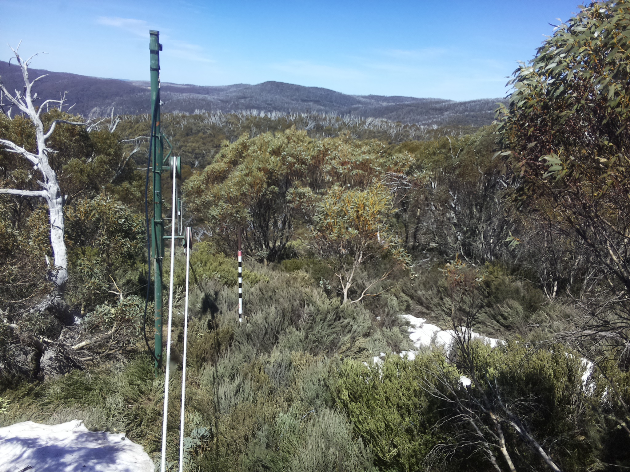 Bogong Web Cam 1:10pm Thursday 16th of October 2025