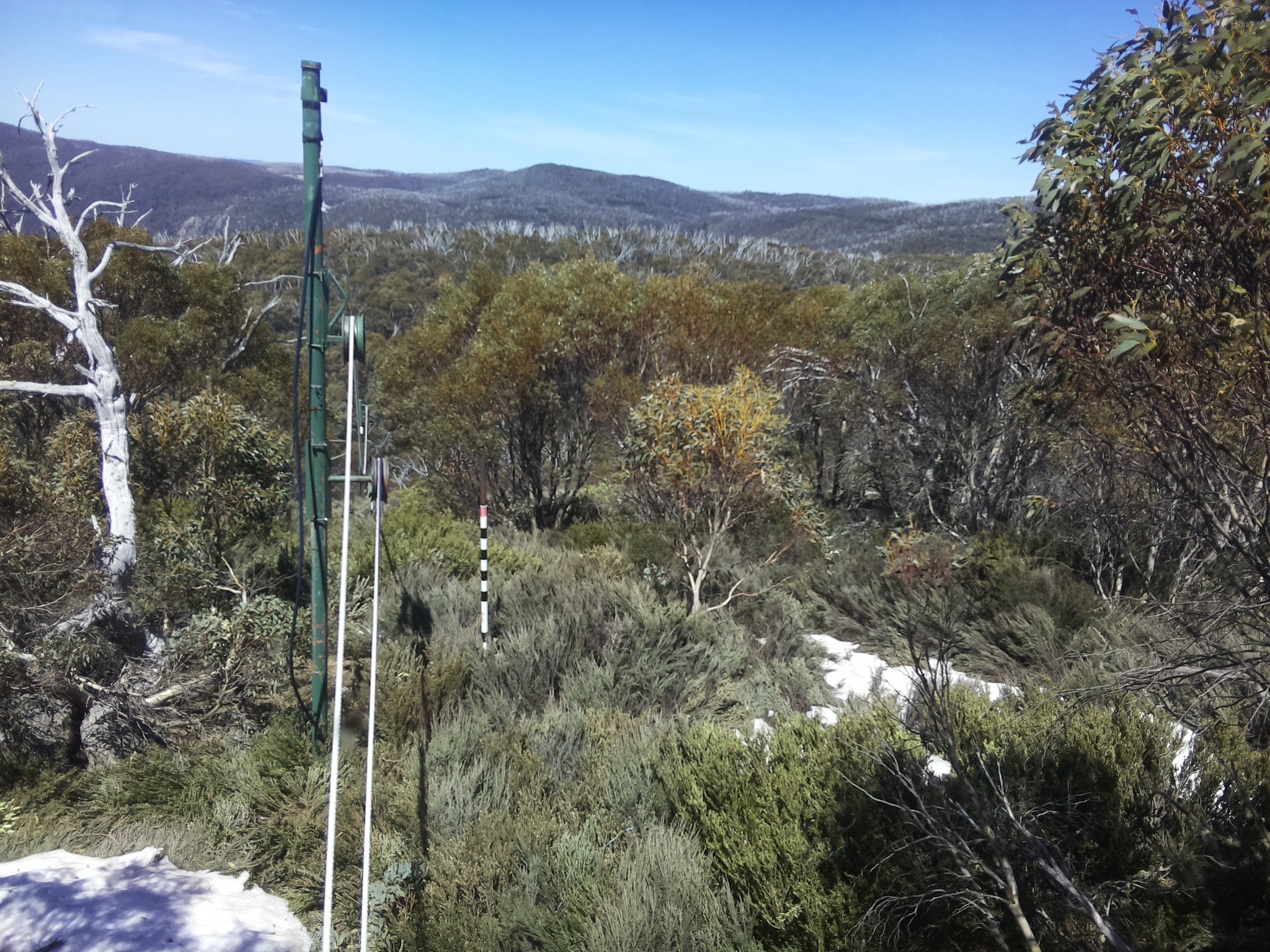 Bogong Web Cam 1:20pm Thursday 16th of October 2025