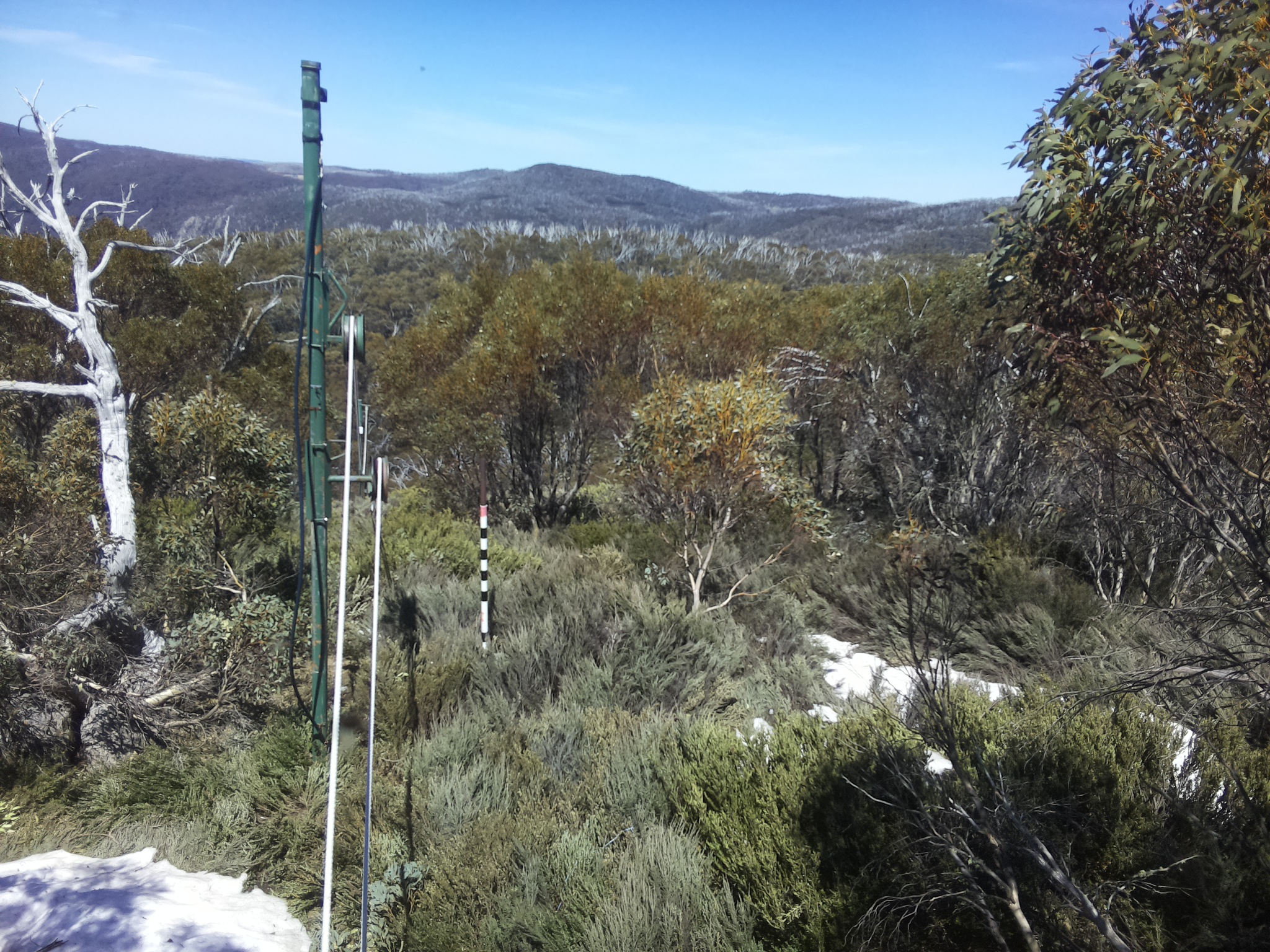 Bogong Web Cam 1:30pm Thursday 16th of October 2025