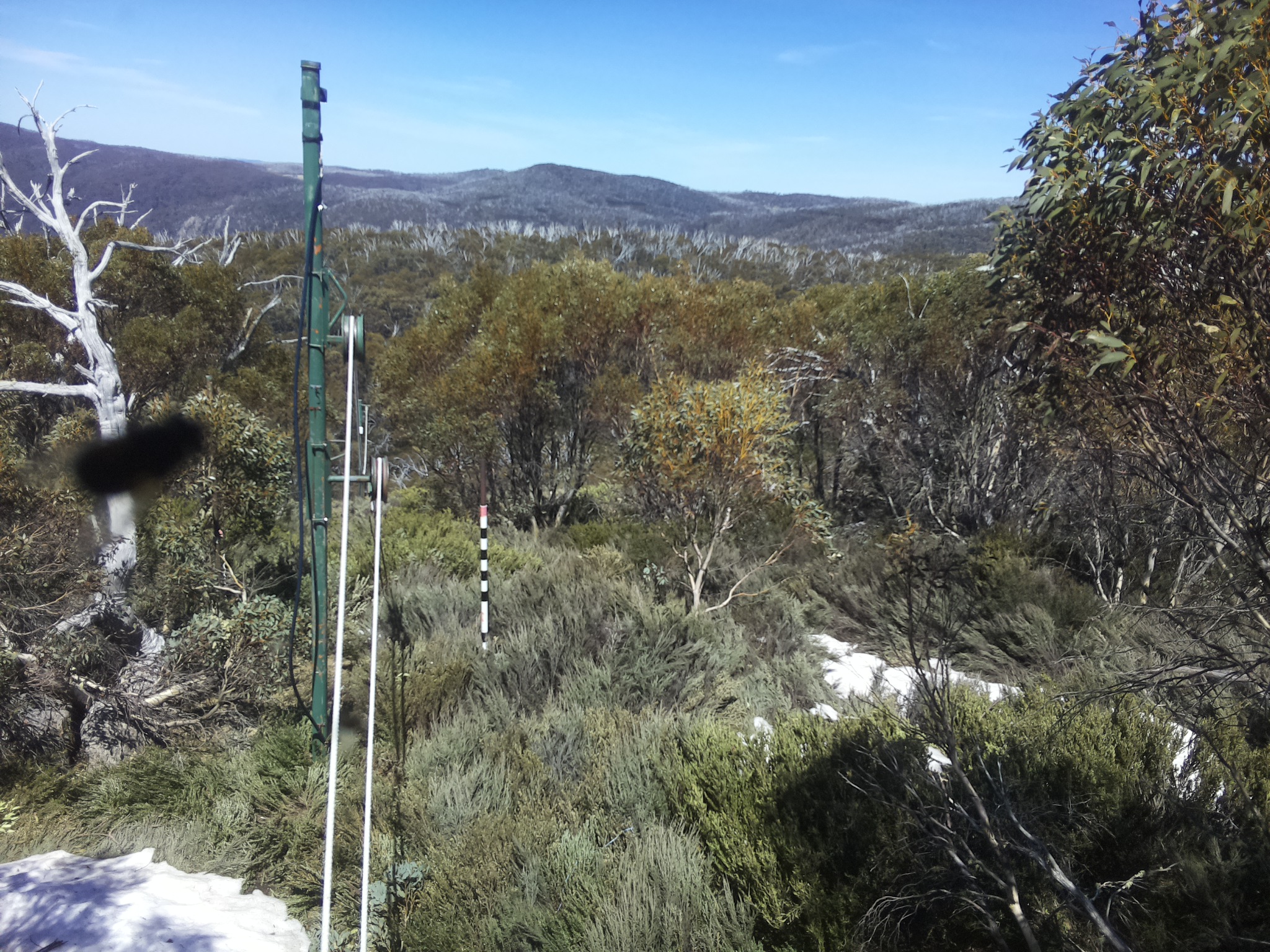 Bogong Web Cam 1:40pm Thursday 16th of October 2025