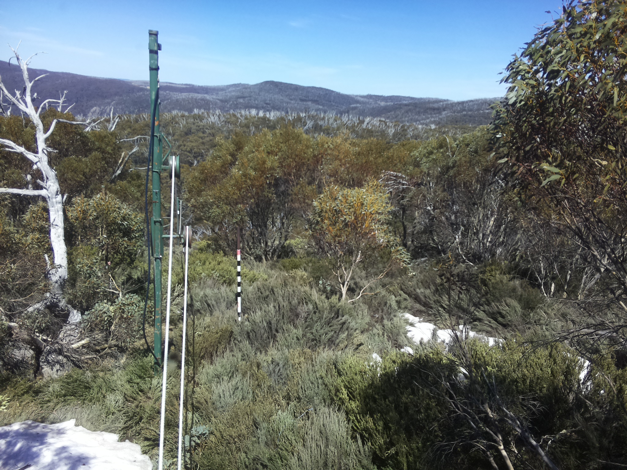 Bogong Web Cam 1:50pm Thursday 16th of October 2025