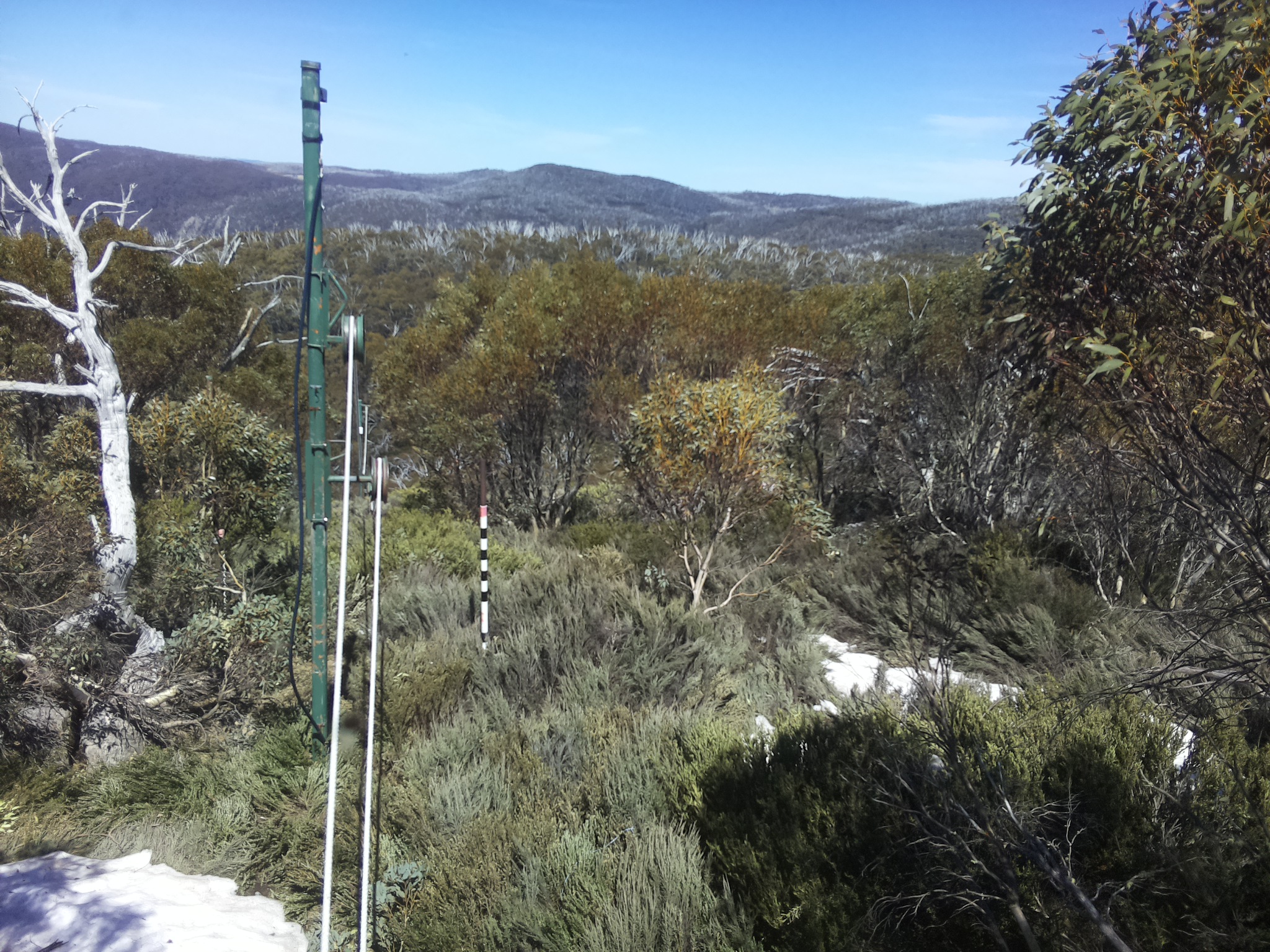 Bogong Web Cam 2:00pm Thursday 16th of October 2025