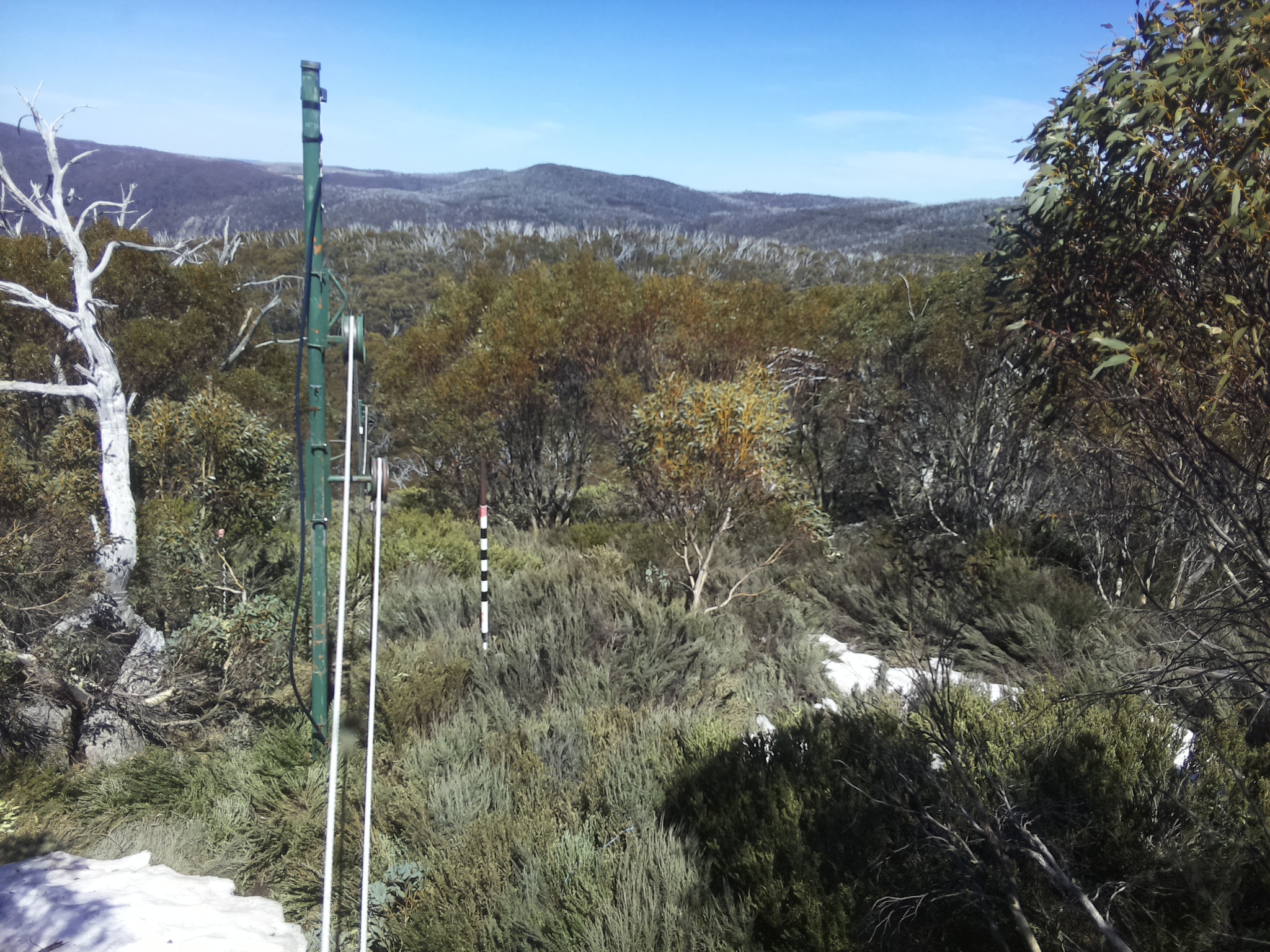 Bogong Web Cam 2:10pm Thursday 16th of October 2025