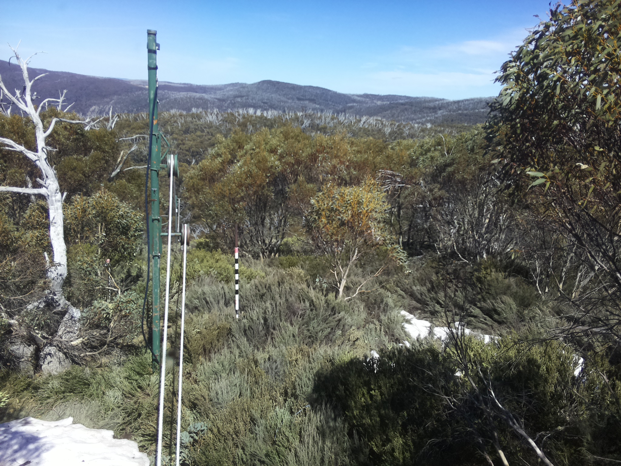 Bogong Web Cam 2:20pm Thursday 16th of October 2025