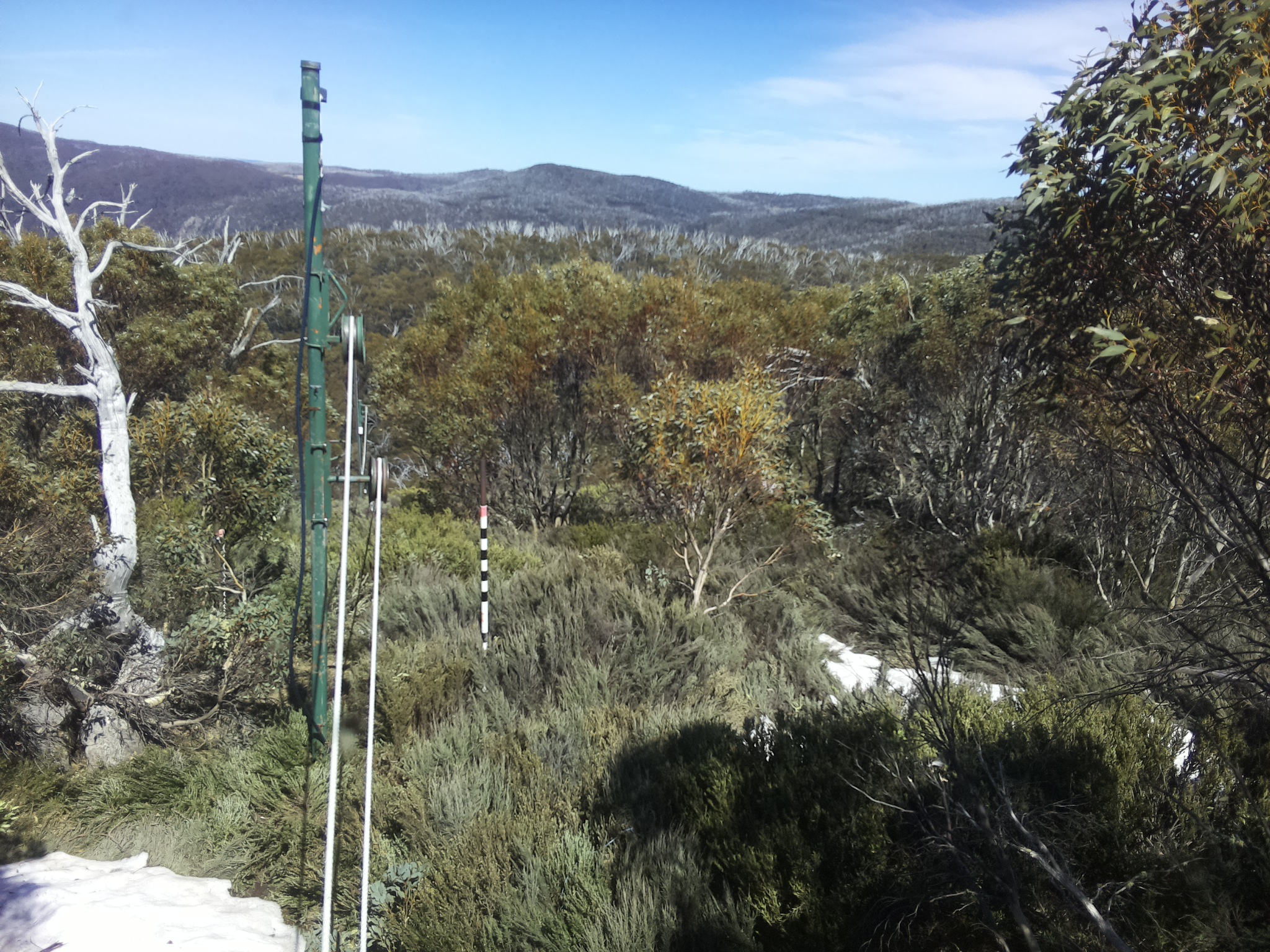 Bogong Web Cam 2:30pm Thursday 16th of October 2025