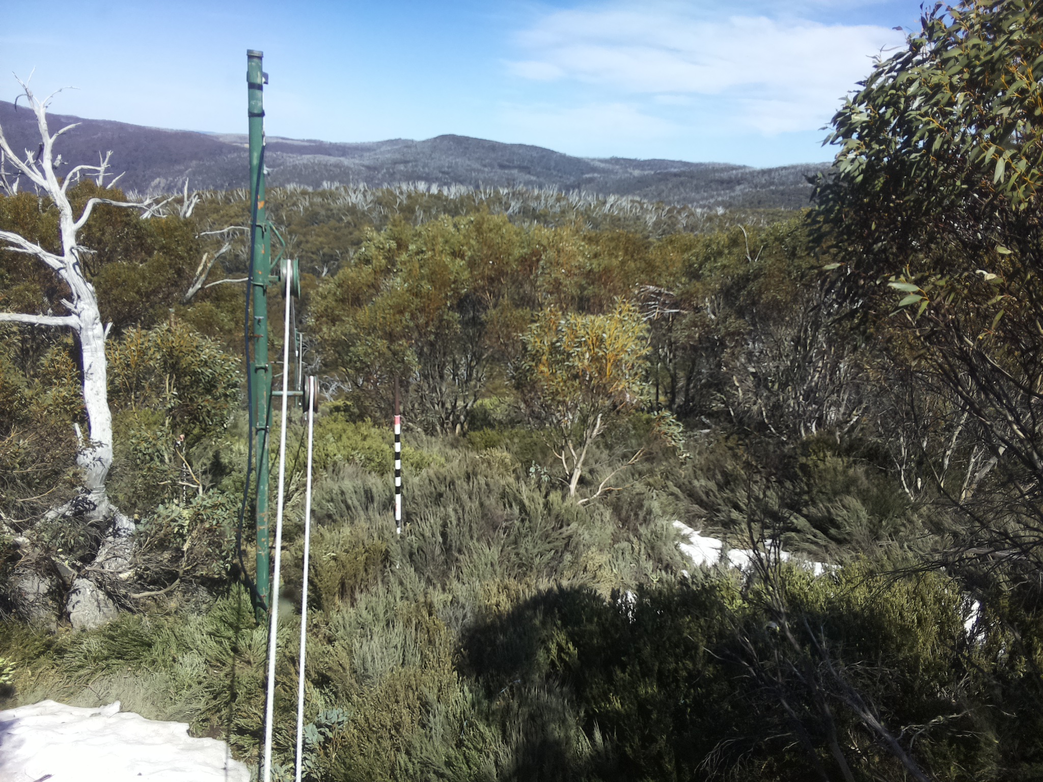 Bogong Web Cam 2:40pm Thursday 16th of October 2025