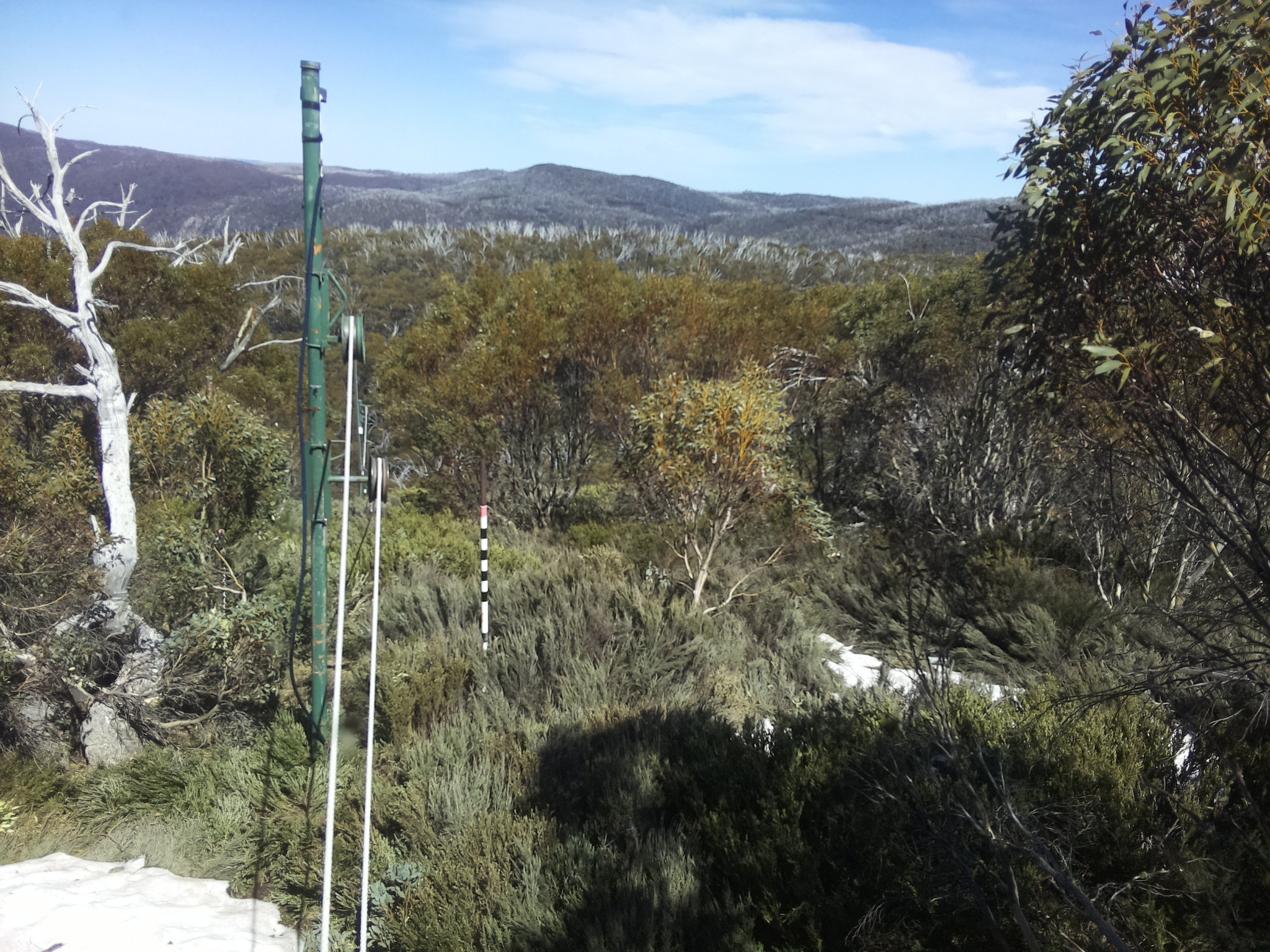 Bogong Web Cam 2:50pm Thursday 16th of October 2025