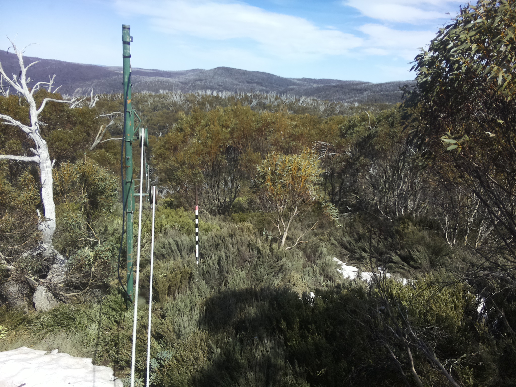 Bogong Web Cam 3:00pm Thursday 16th of October 2025