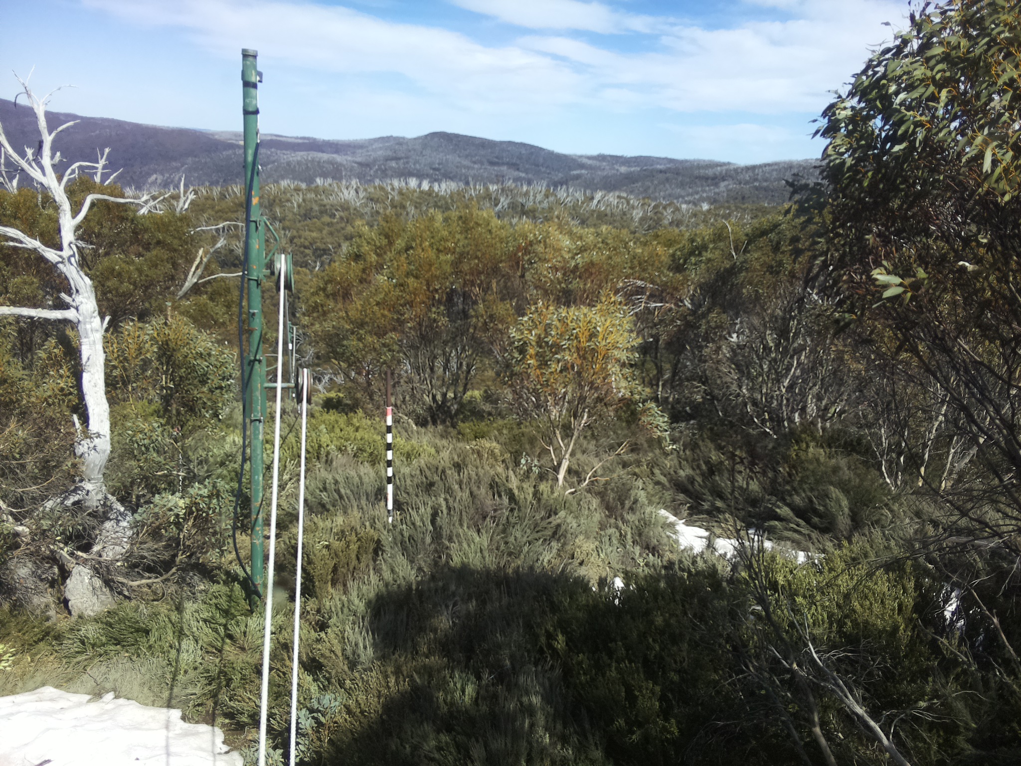 Bogong Web Cam 3:10pm Thursday 16th of October 2025