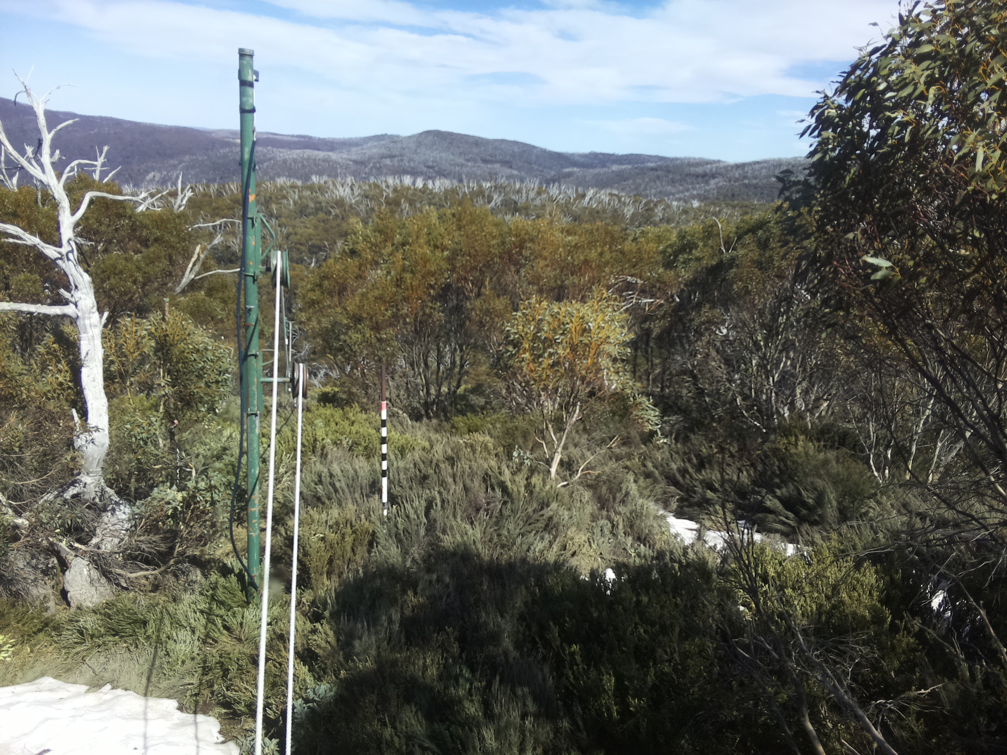 Bogong Web Cam 3:20pm Thursday 16th of October 2025