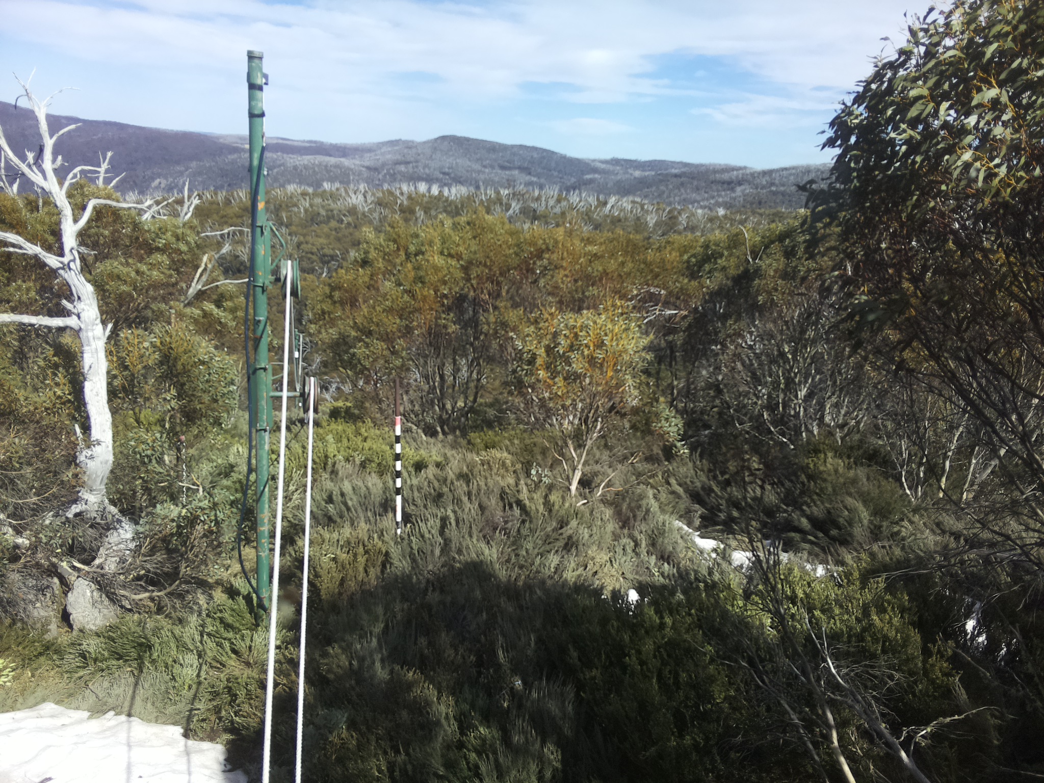 Bogong Web Cam 3:30pm Thursday 16th of October 2025