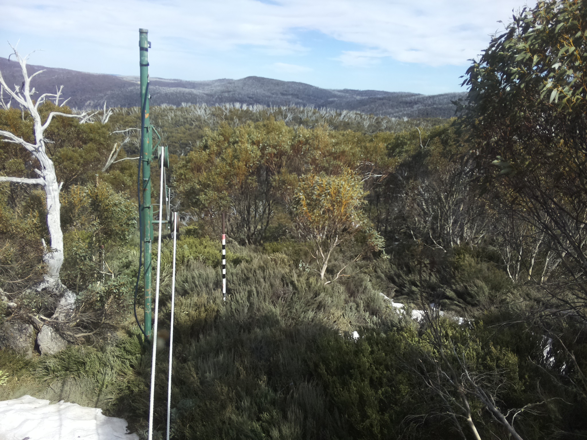 Bogong Web Cam 3:40pm Thursday 16th of October 2025