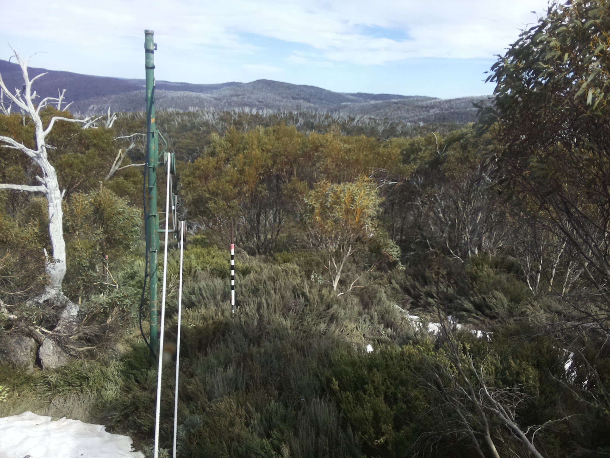 Bogong Web Cam 3:50pm Thursday 16th of October 2025