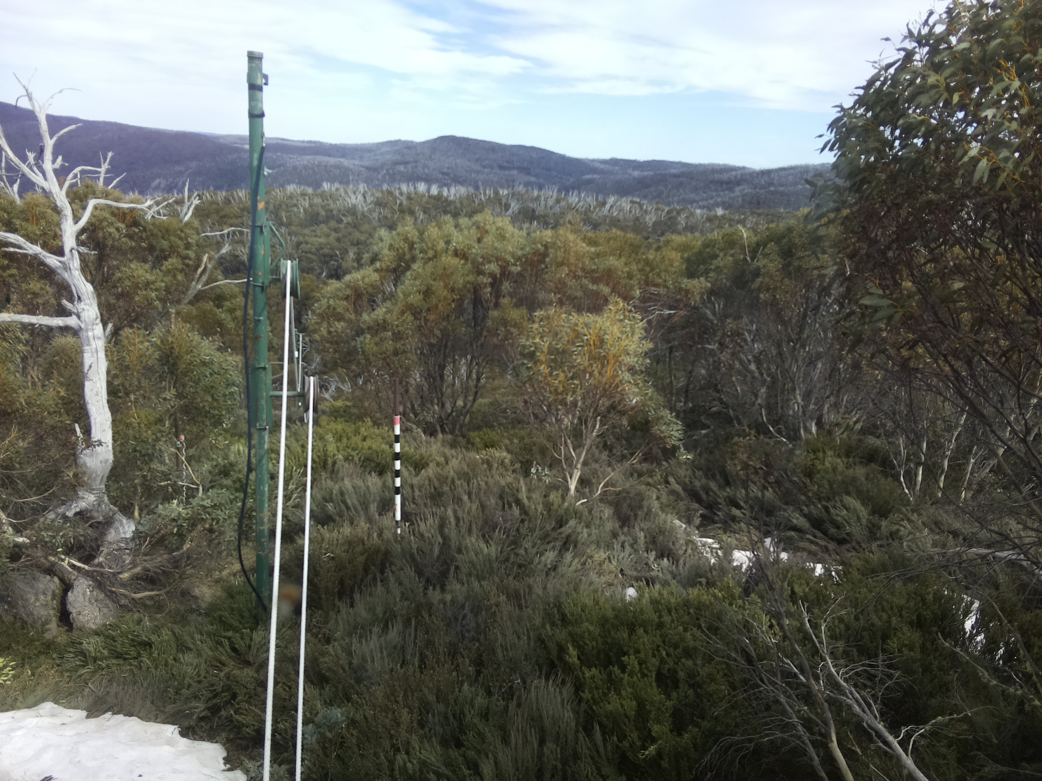 Bogong Web Cam 4:00pm Thursday 16th of October 2025