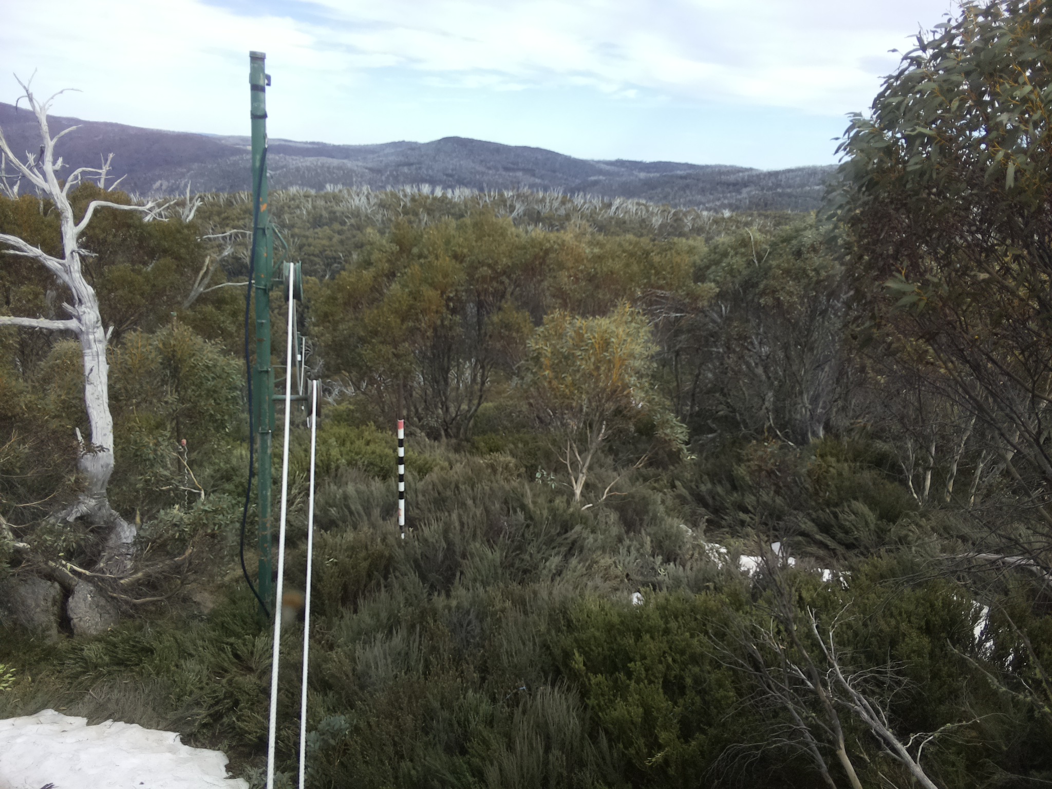 Bogong Web Cam 4:10pm Thursday 16th of October 2025