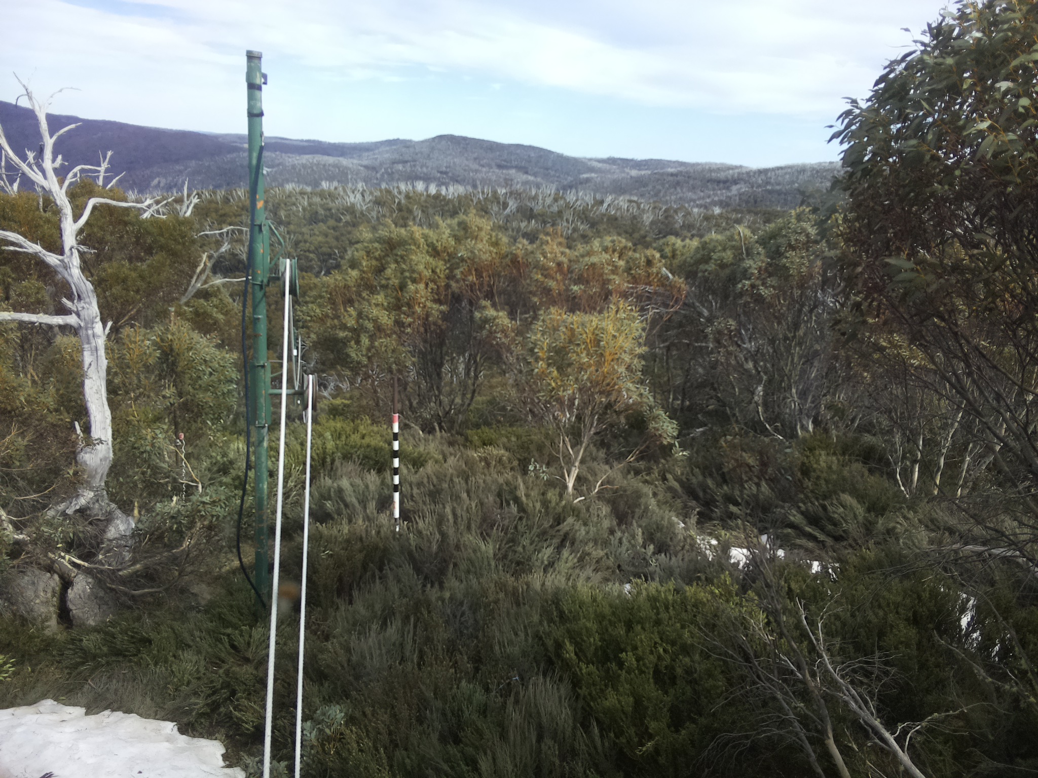 Bogong Web Cam 4:20pm Thursday 16th of October 2025