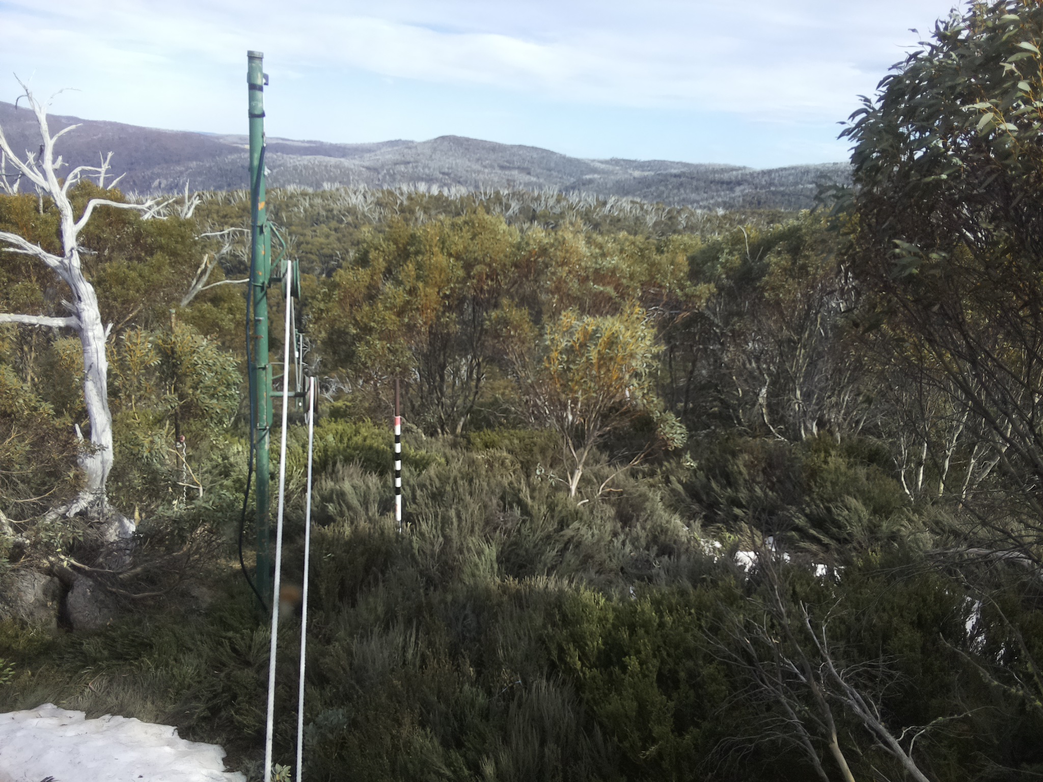 Bogong Web Cam 4:30pm Thursday 16th of October 2025