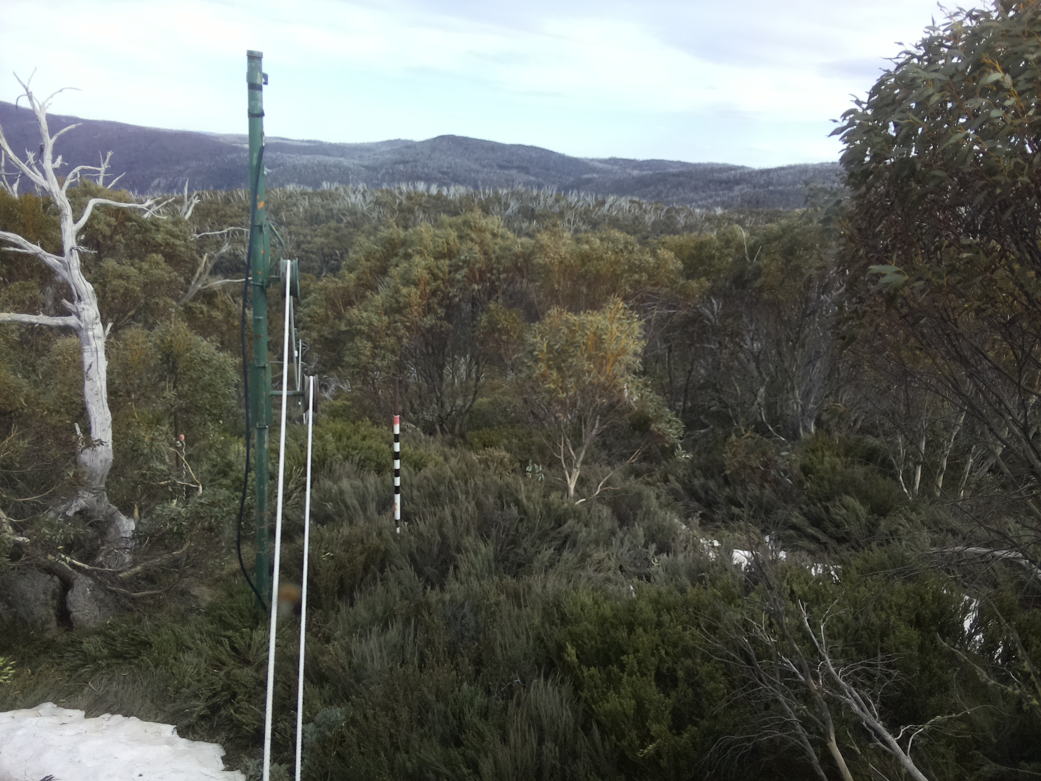 Bogong Web Cam 4:40pm Thursday 16th of October 2025