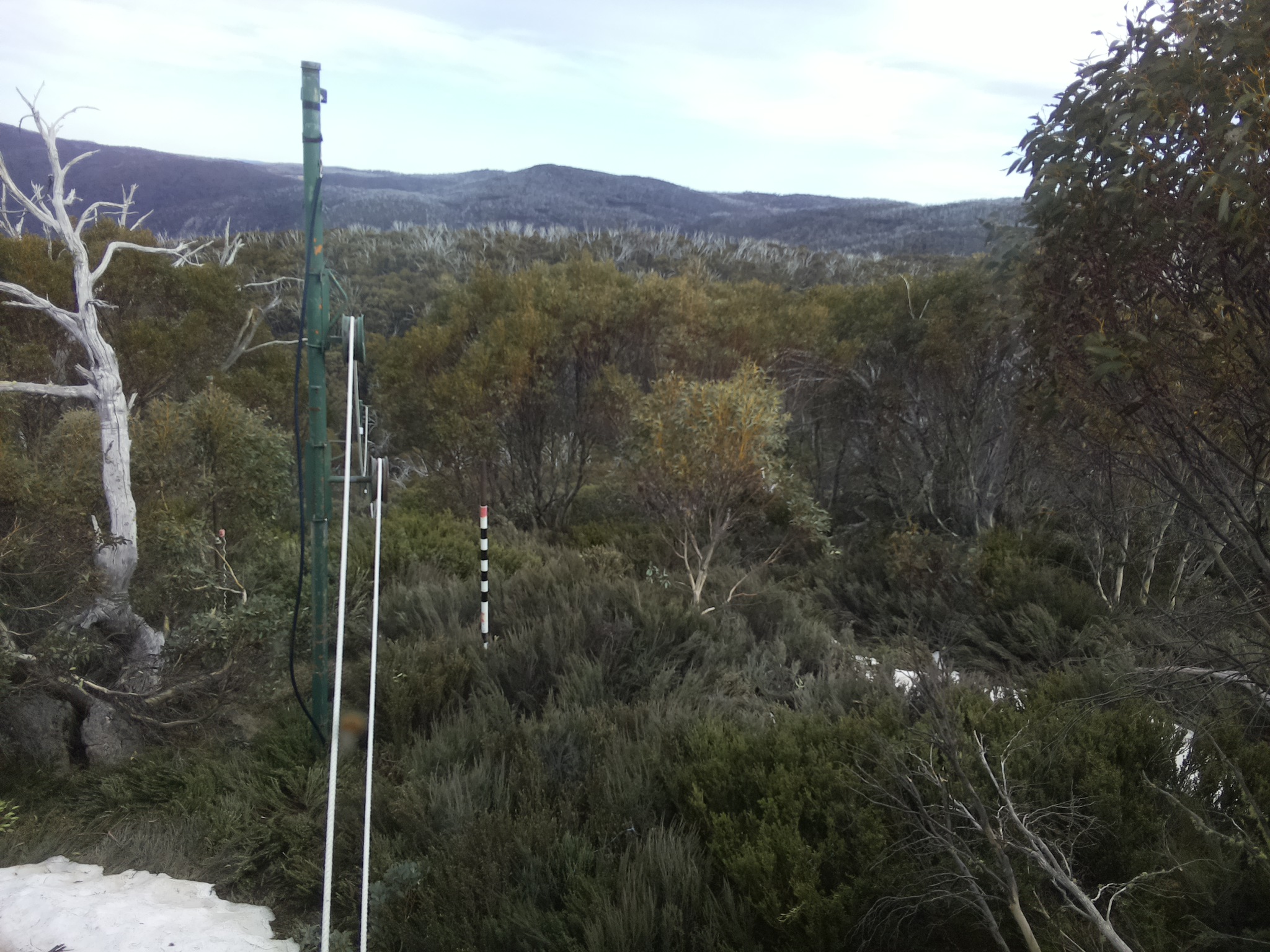 Bogong Web Cam 4:50pm Thursday 16th of October 2025