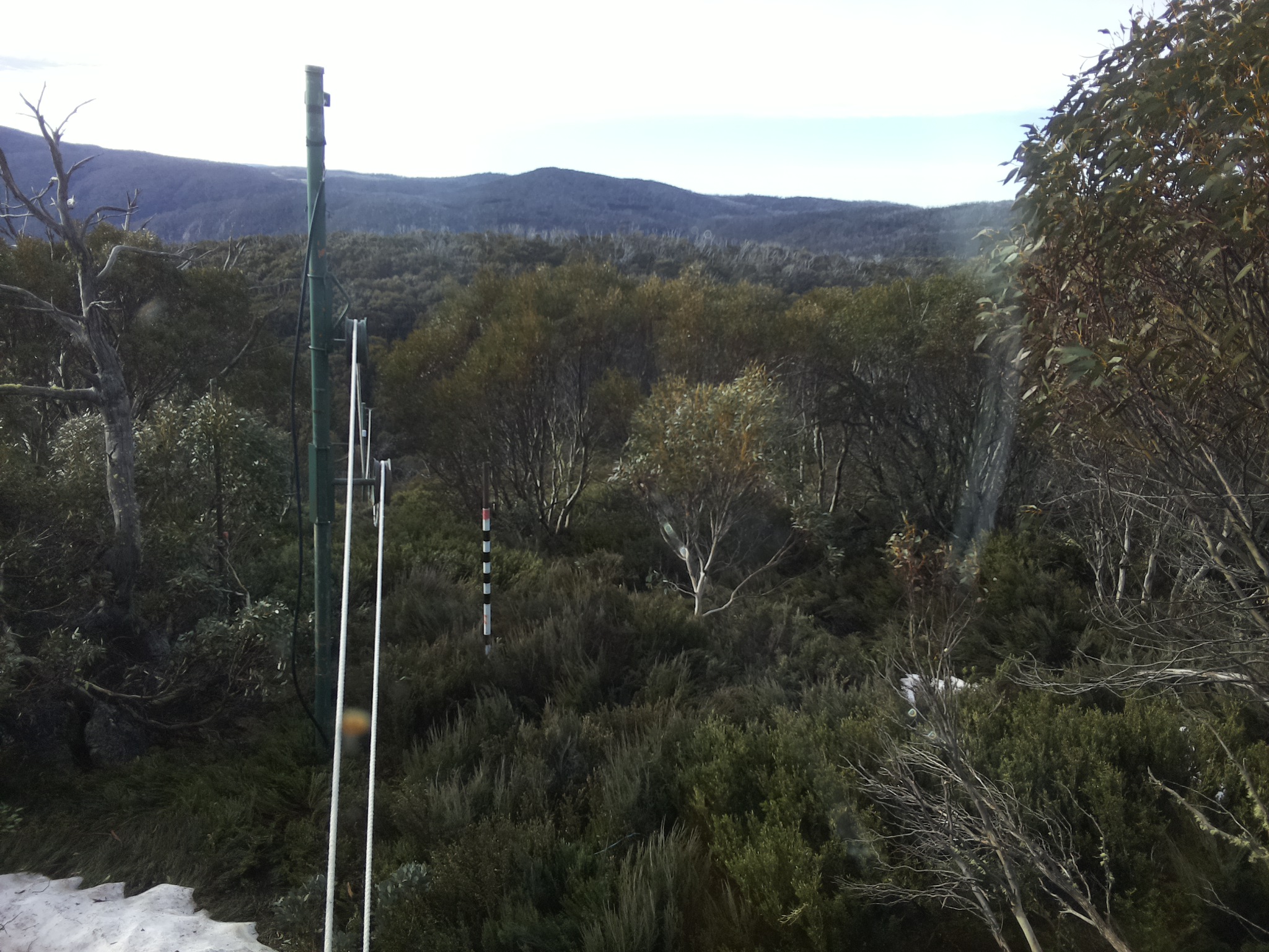 Bogong Web Cam 8:10am Friday 17th of October 2025