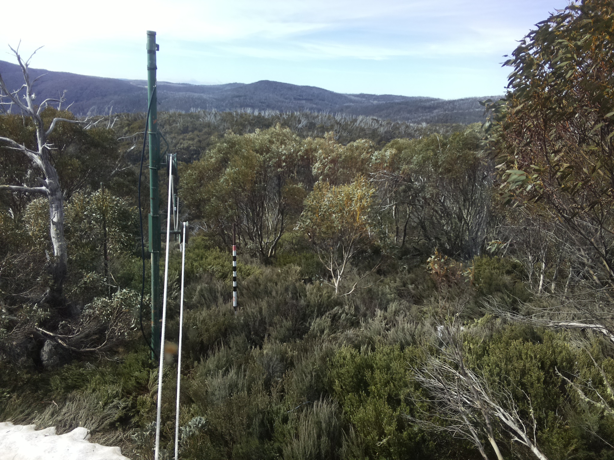 Bogong Web Cam 9:50am Friday 17th of October 2025