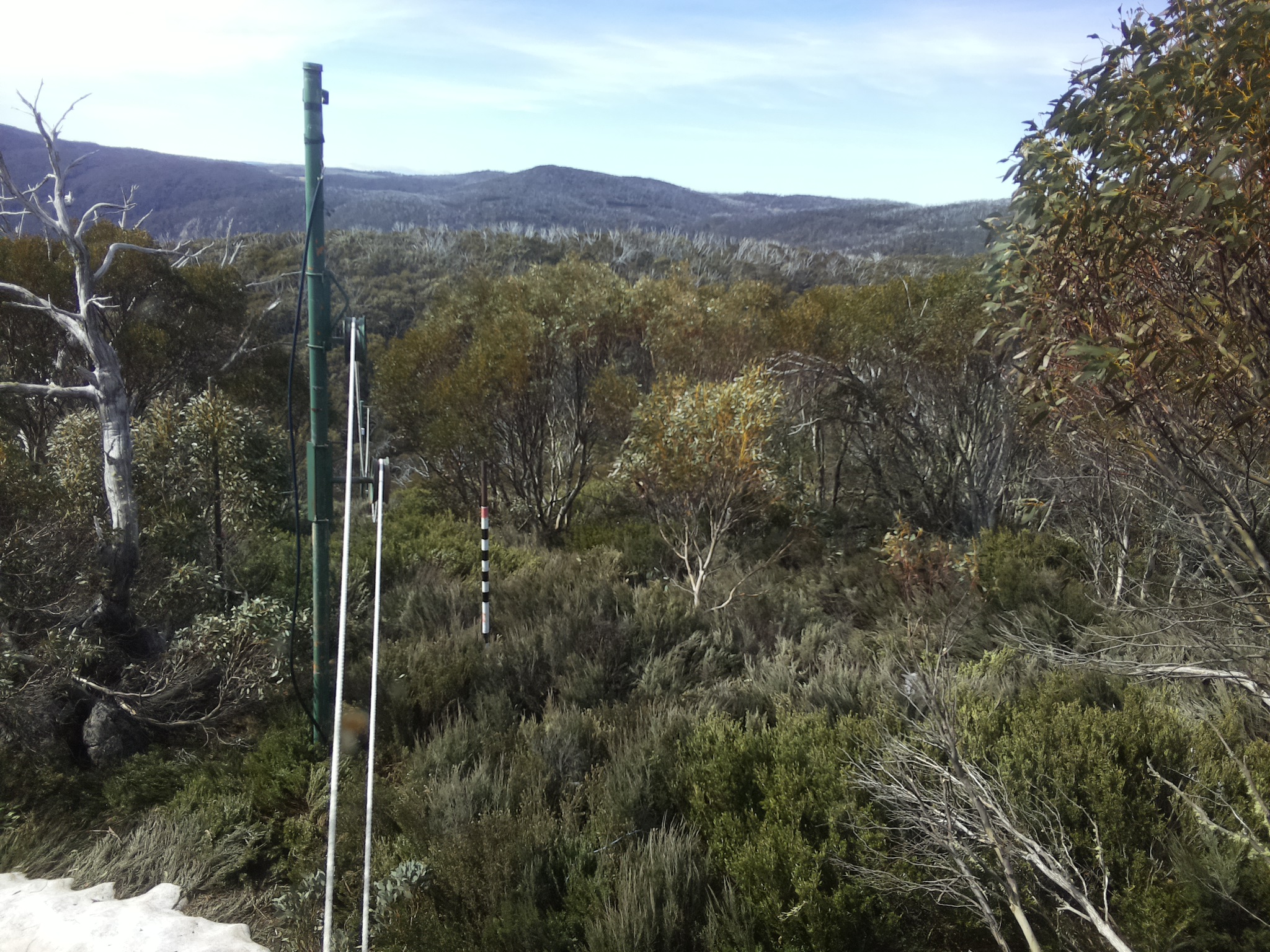 Bogong Web Cam 10:00am Friday 17th of October 2025