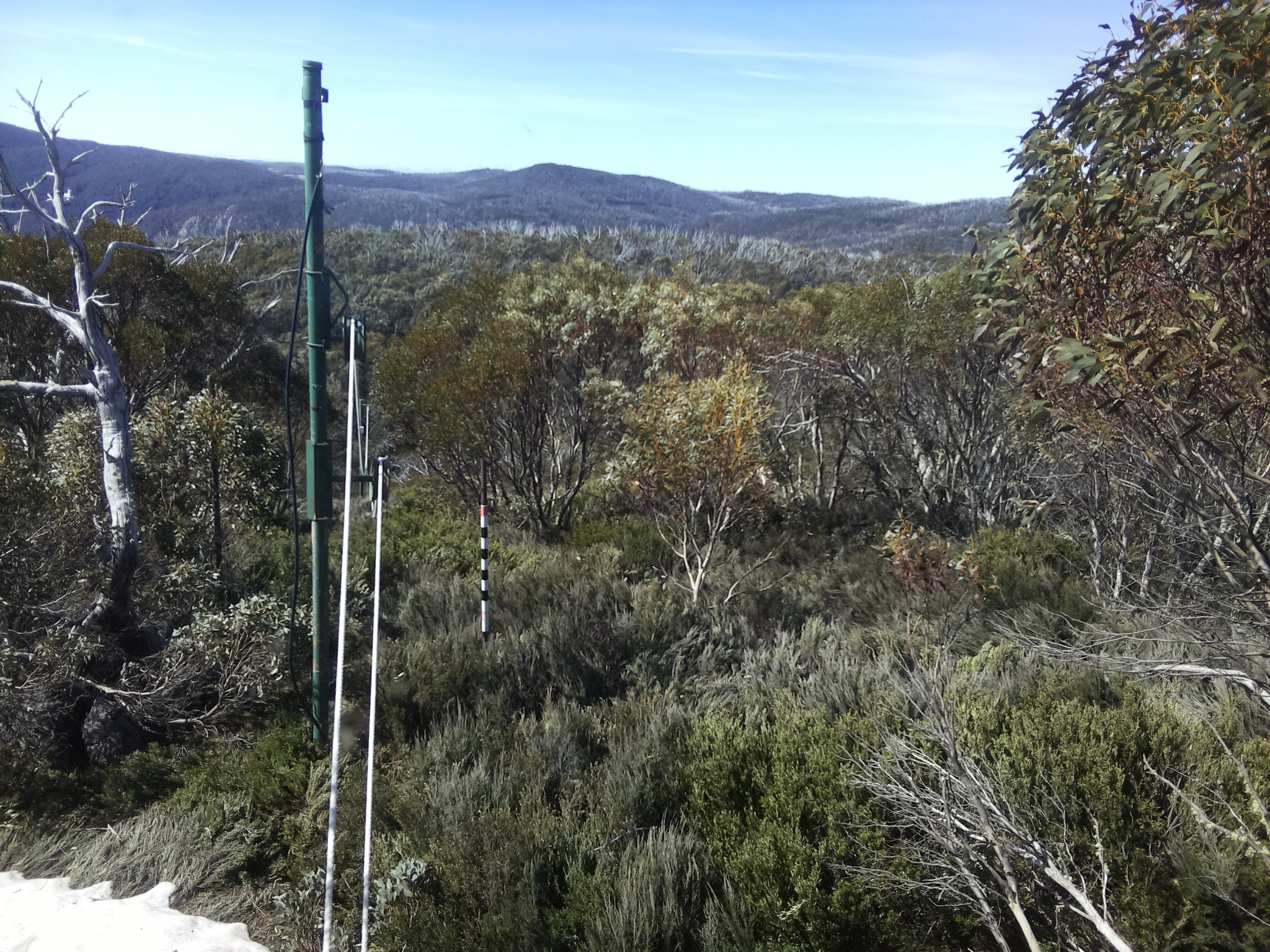 Bogong Web Cam 10:30am Friday 17th of October 2025