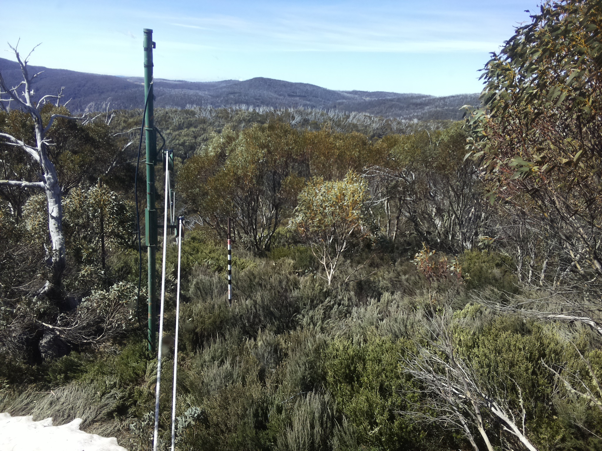 Bogong Web Cam 10:40am Friday 17th of October 2025