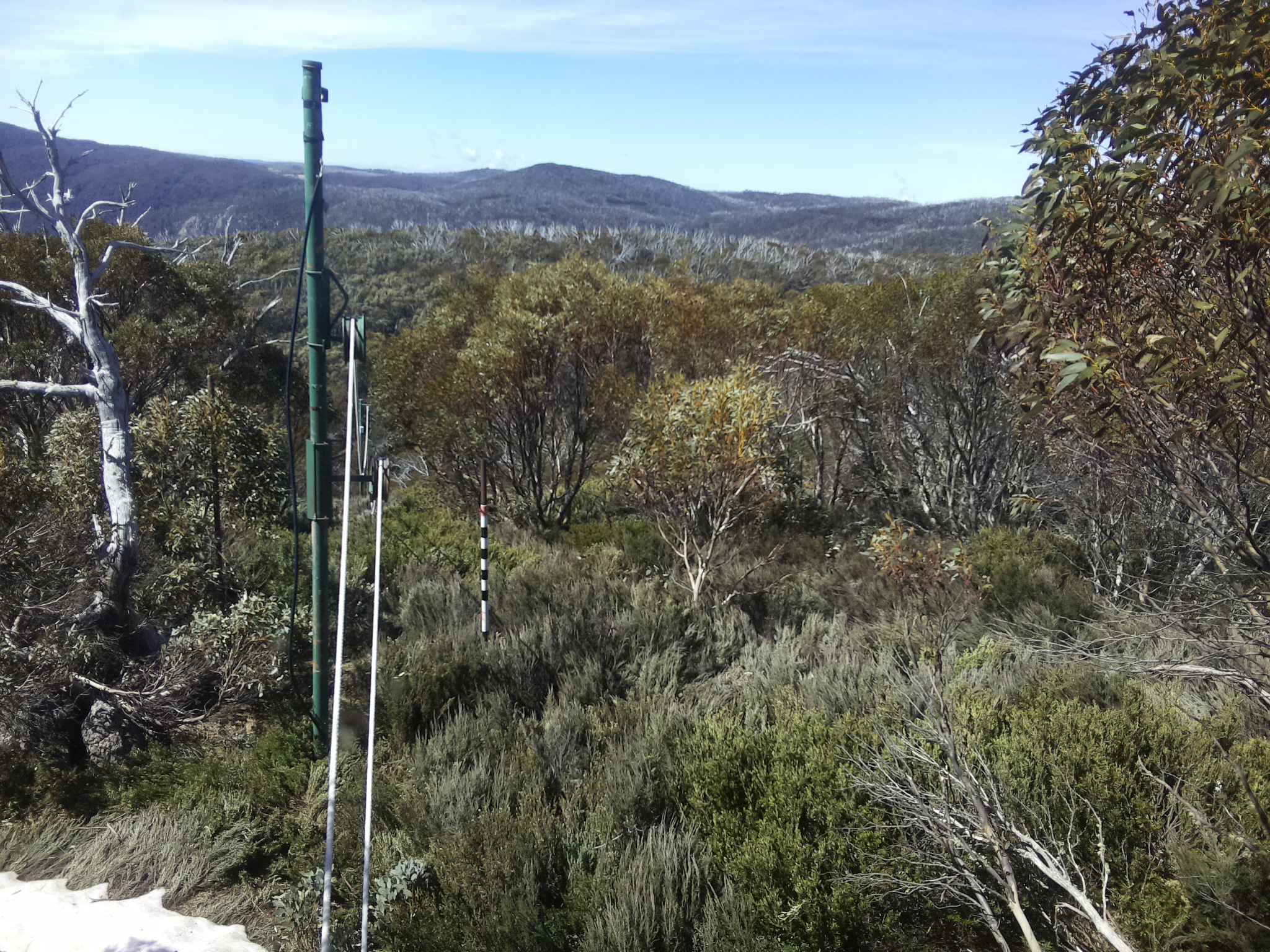 Bogong Web Cam 11:10am Friday 17th of October 2025