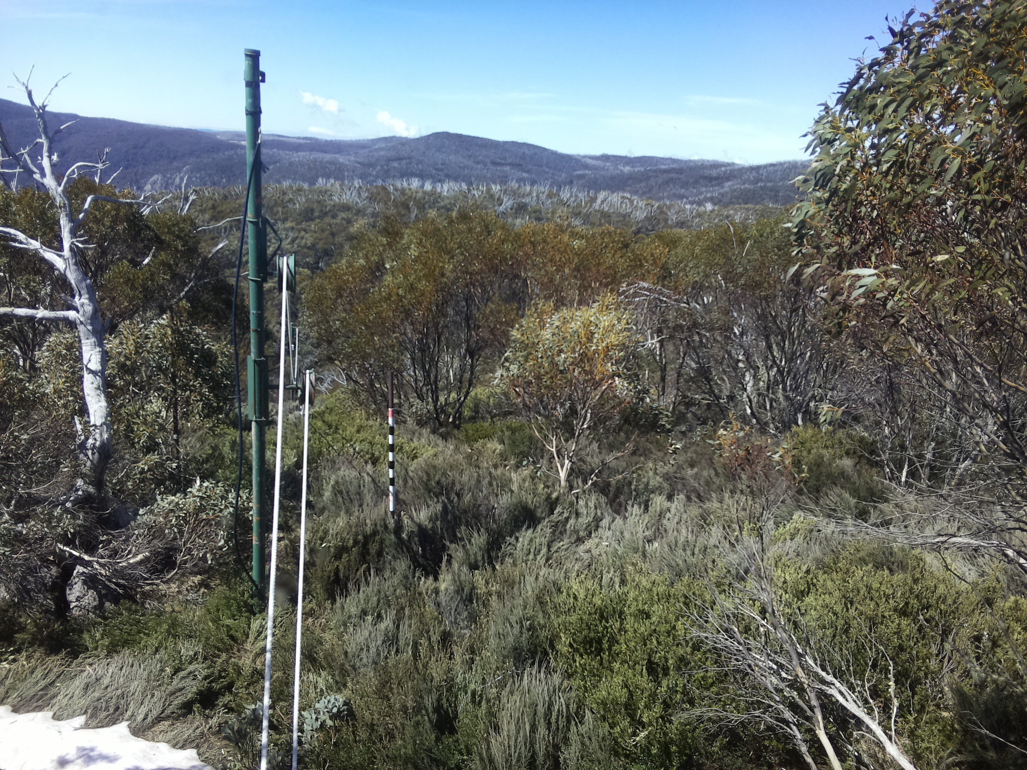 Bogong Web Cam 11:30am Friday 17th of October 2025