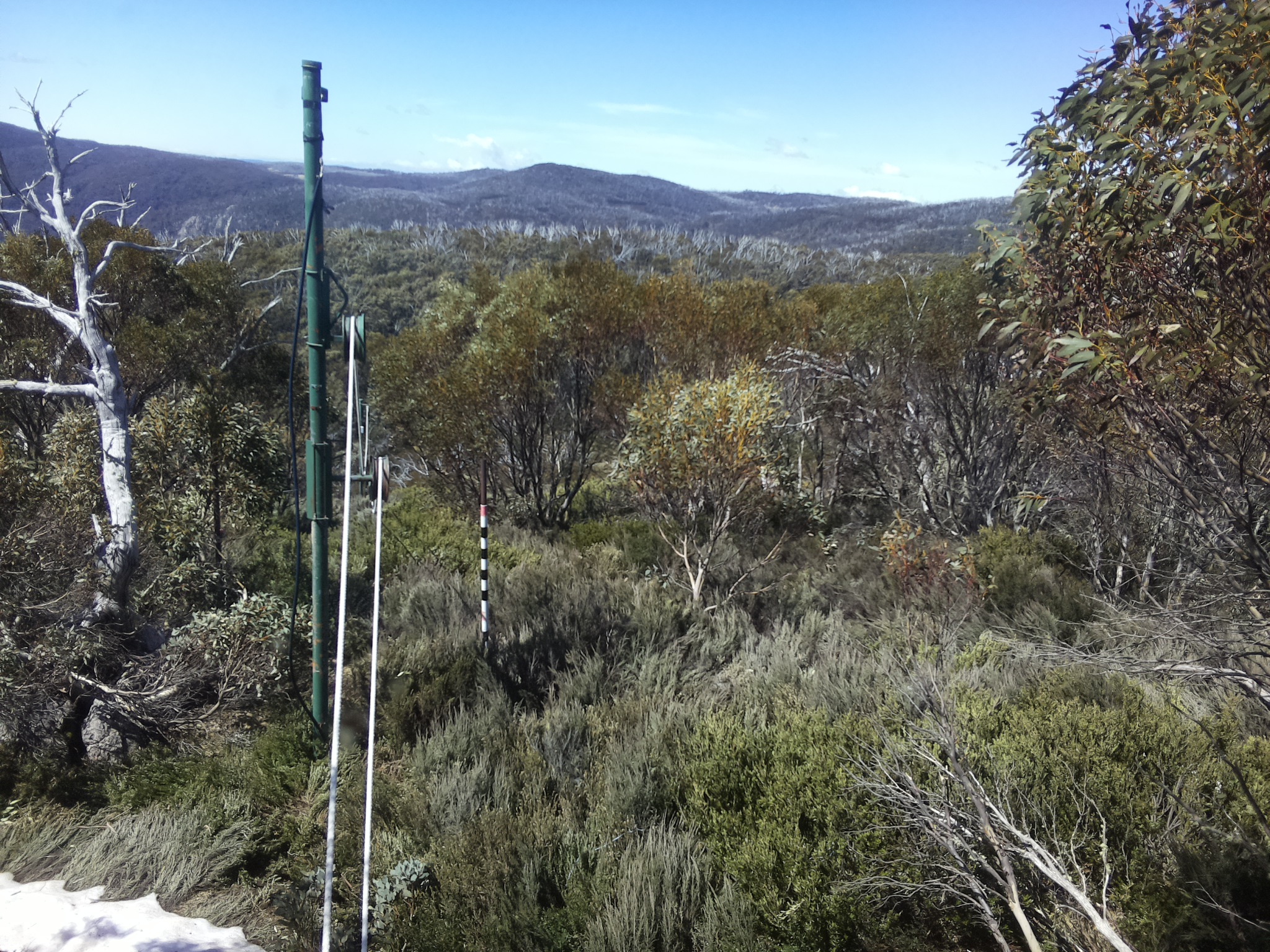 Bogong Web Cam 11:40am Friday 17th of October 2025