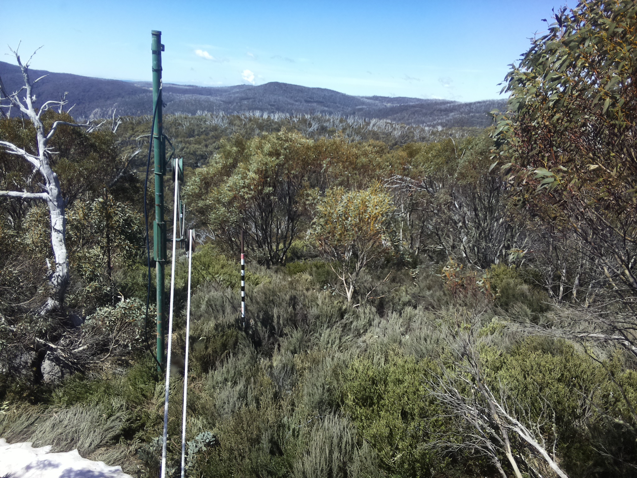 Bogong Web Cam 11:50am Friday 17th of October 2025