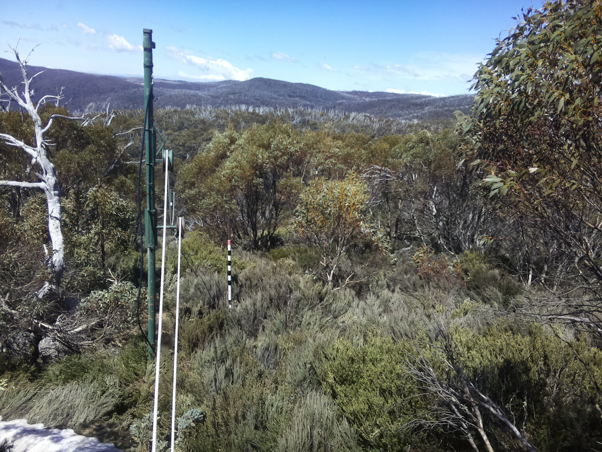 Bogong Web Cam 12:40pm Friday 17th of October 2025