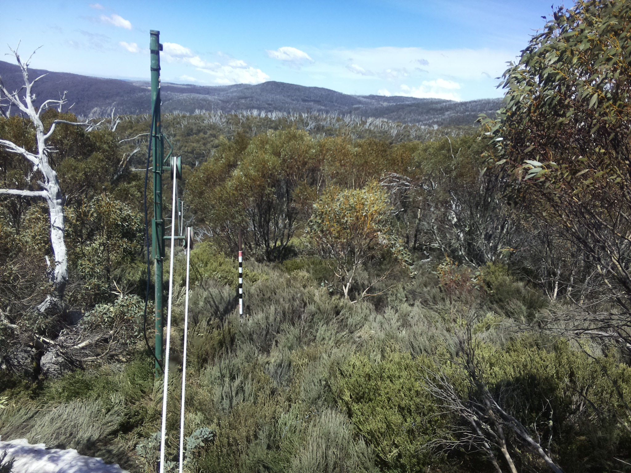 Bogong Web Cam 12:50pm Friday 17th of October 2025