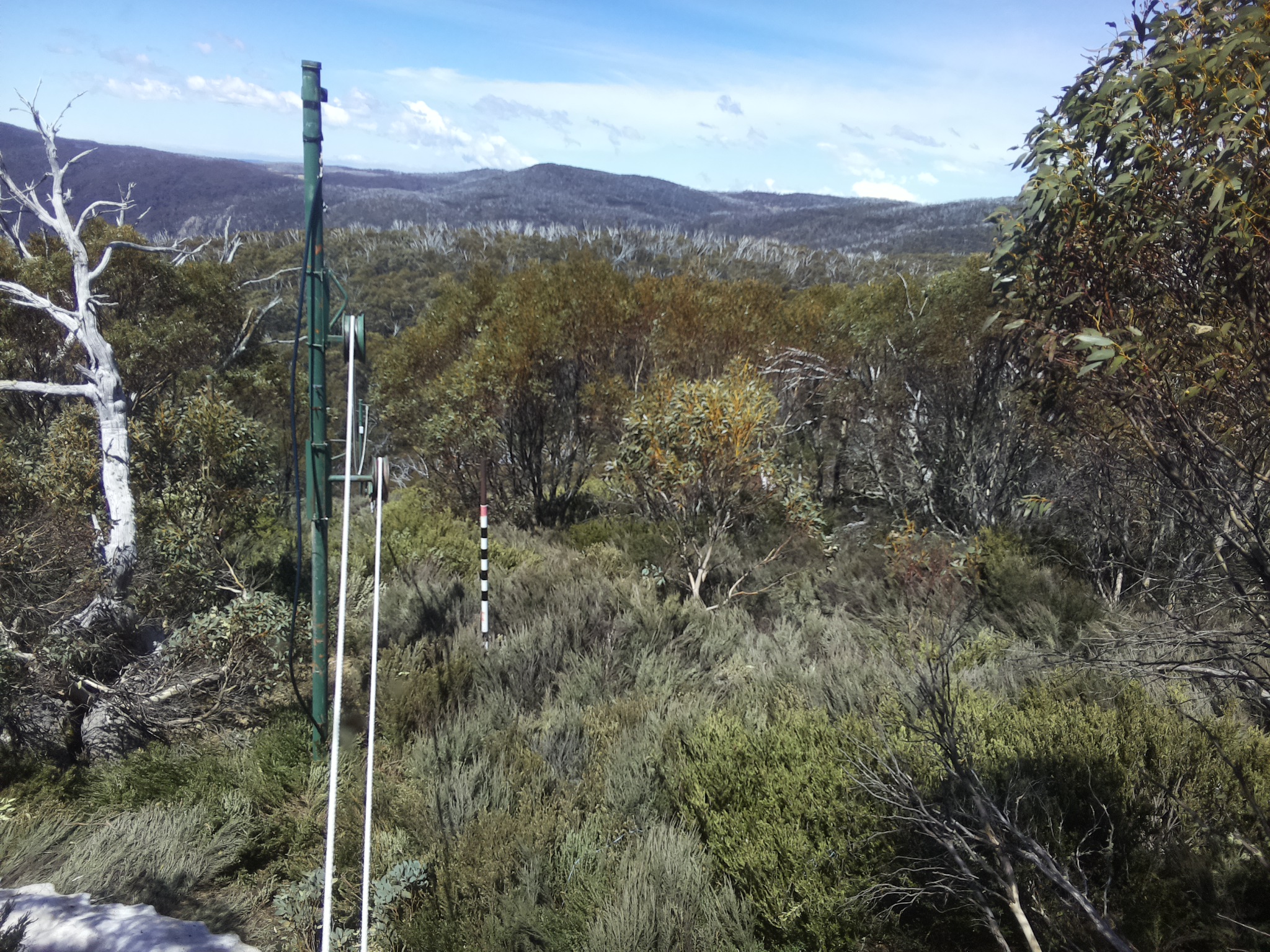 Bogong Web Cam 1:00pm Friday 17th of October 2025