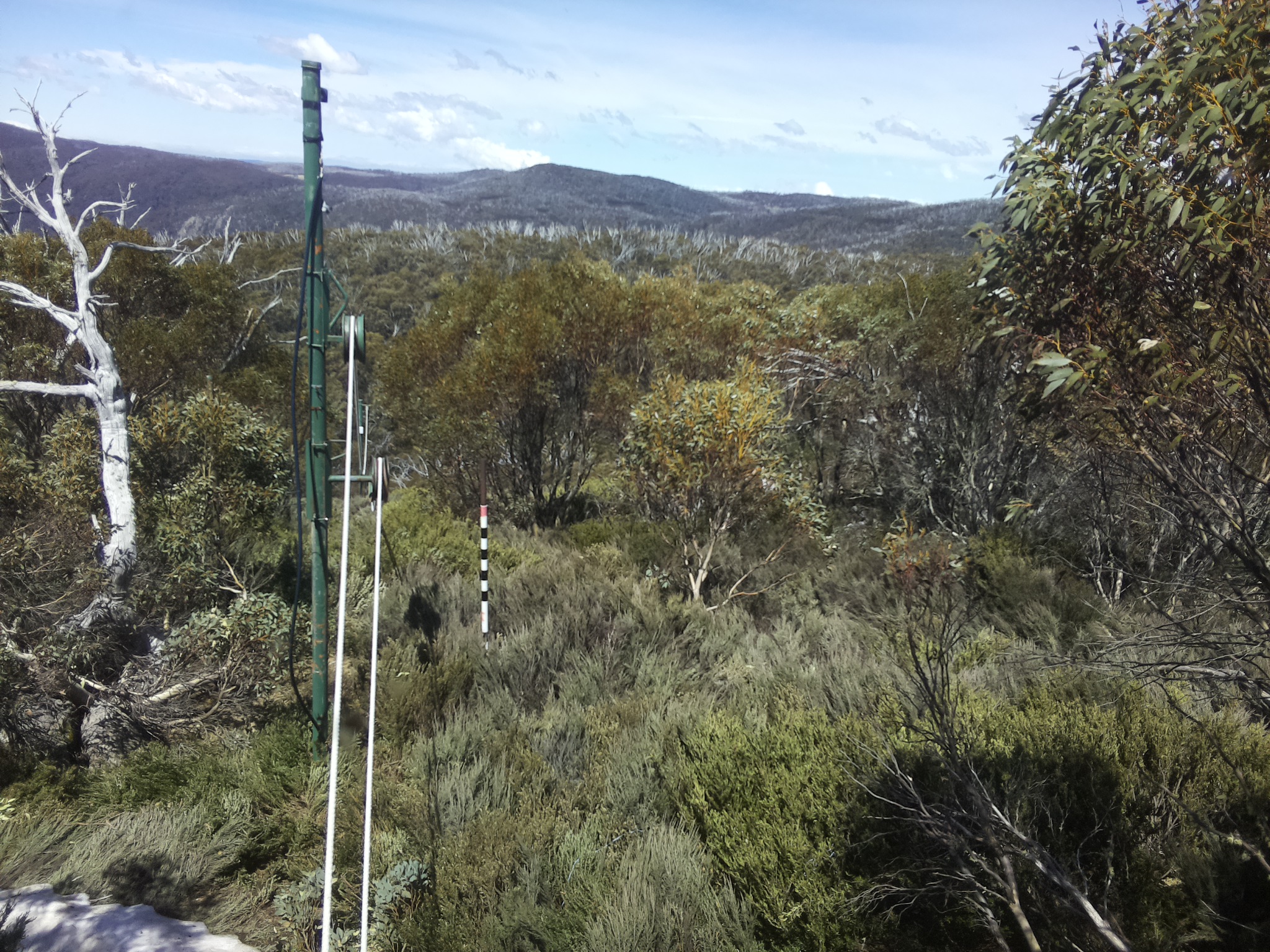 Bogong Web Cam 1:10pm Friday 17th of October 2025