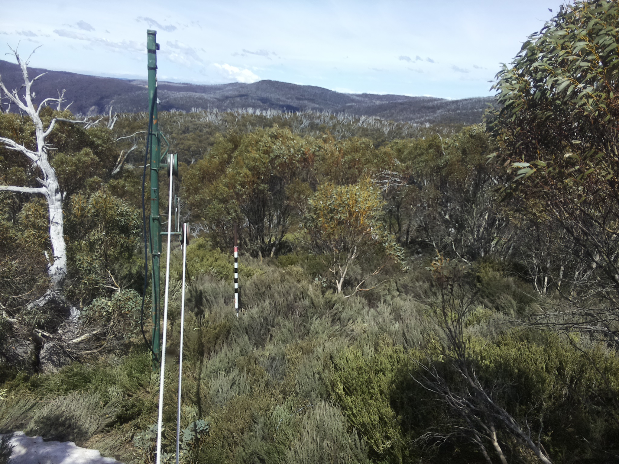 Bogong Web Cam 1:30pm Friday 17th of October 2025