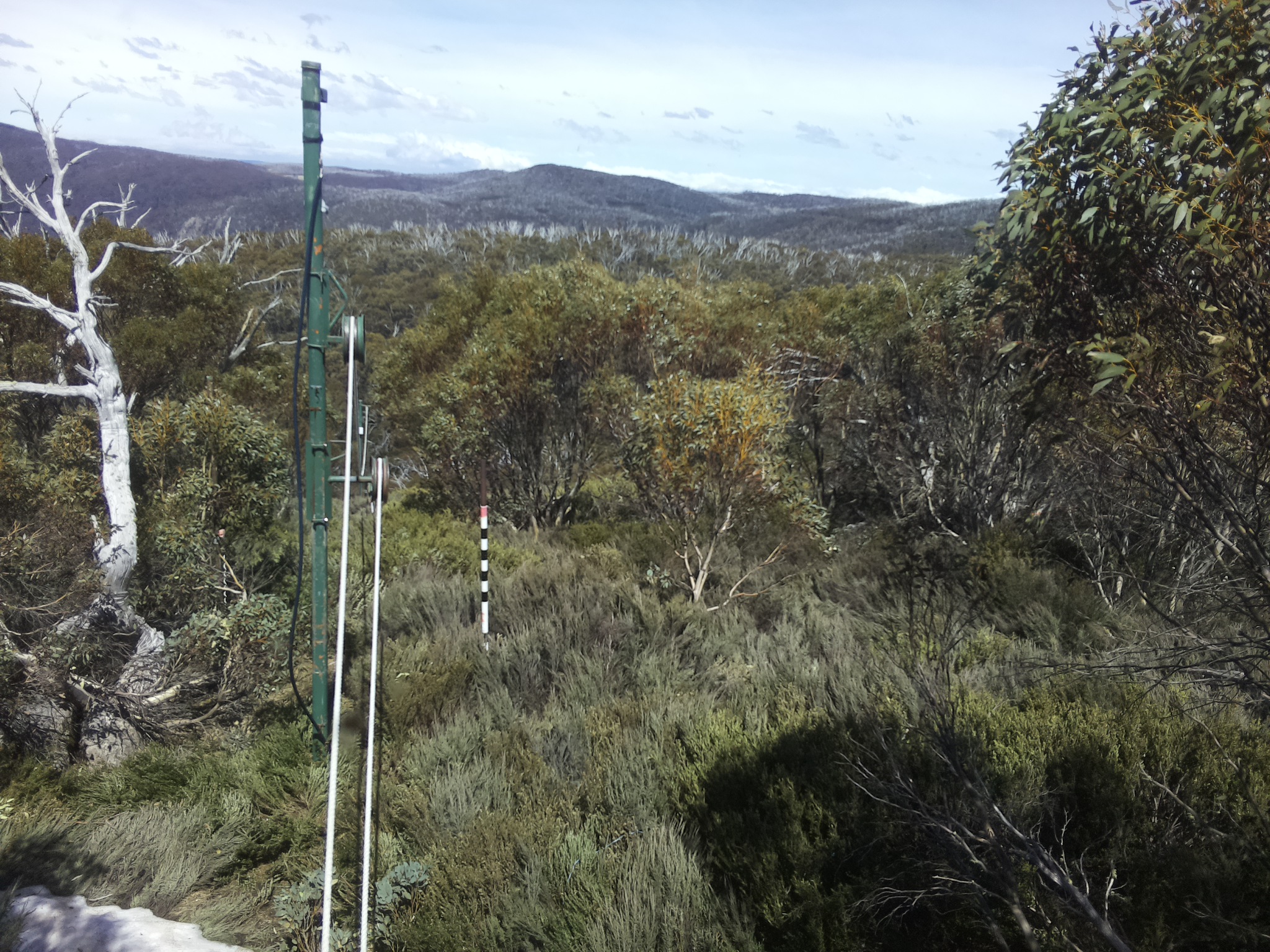 Bogong Web Cam 2:00pm Friday 17th of October 2025