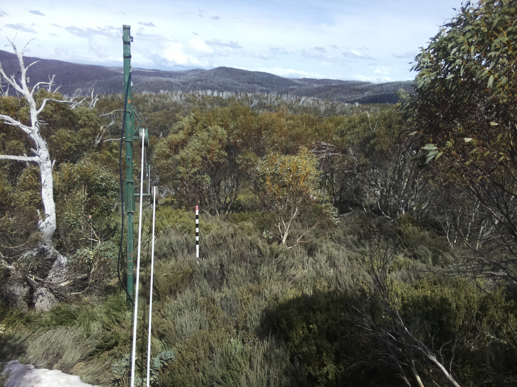 Bogong Web Cam 2:20pm Friday 17th of October 2025