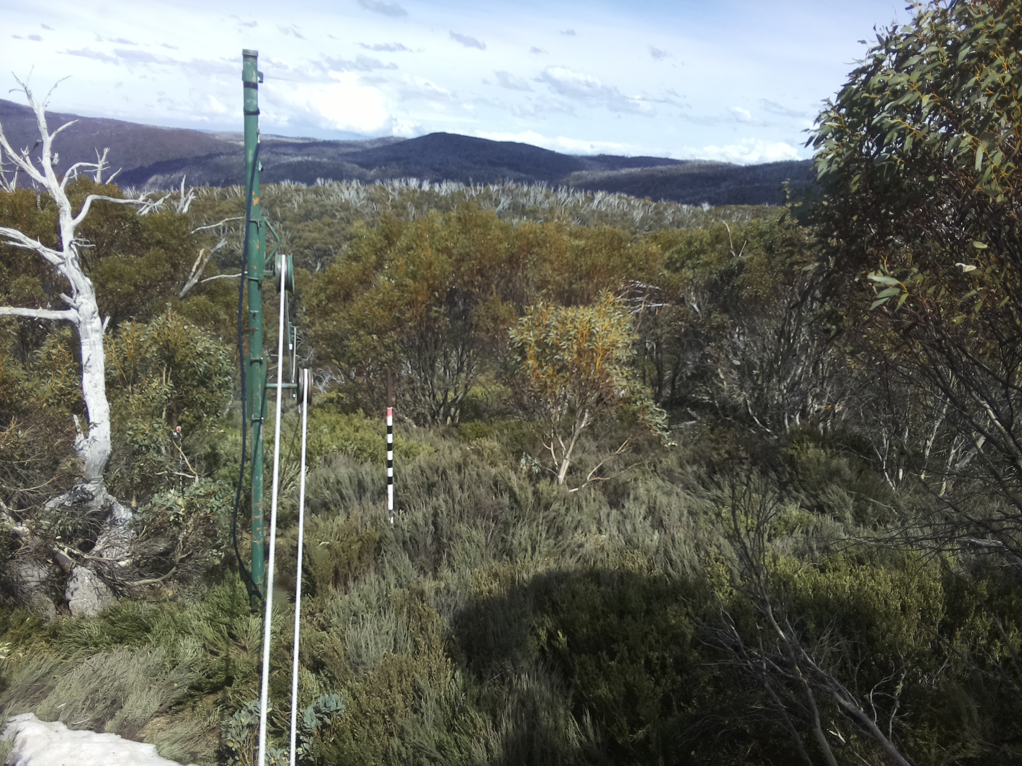 Bogong Web Cam 2:40pm Friday 17th of October 2025