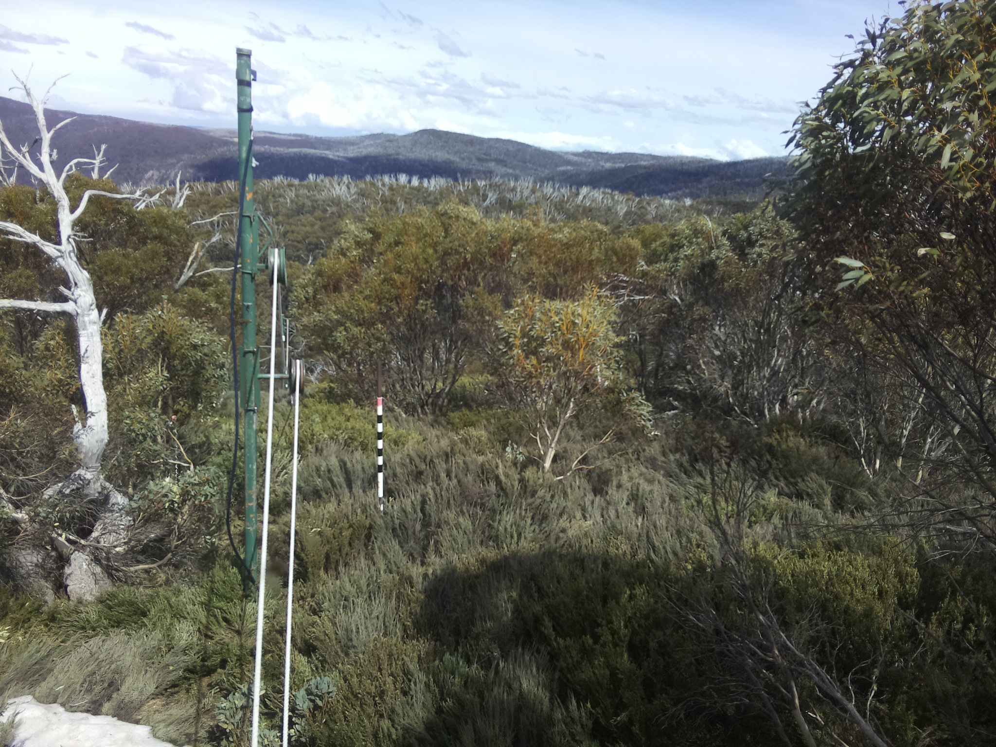 Bogong Web Cam 2:50pm Friday 17th of October 2025