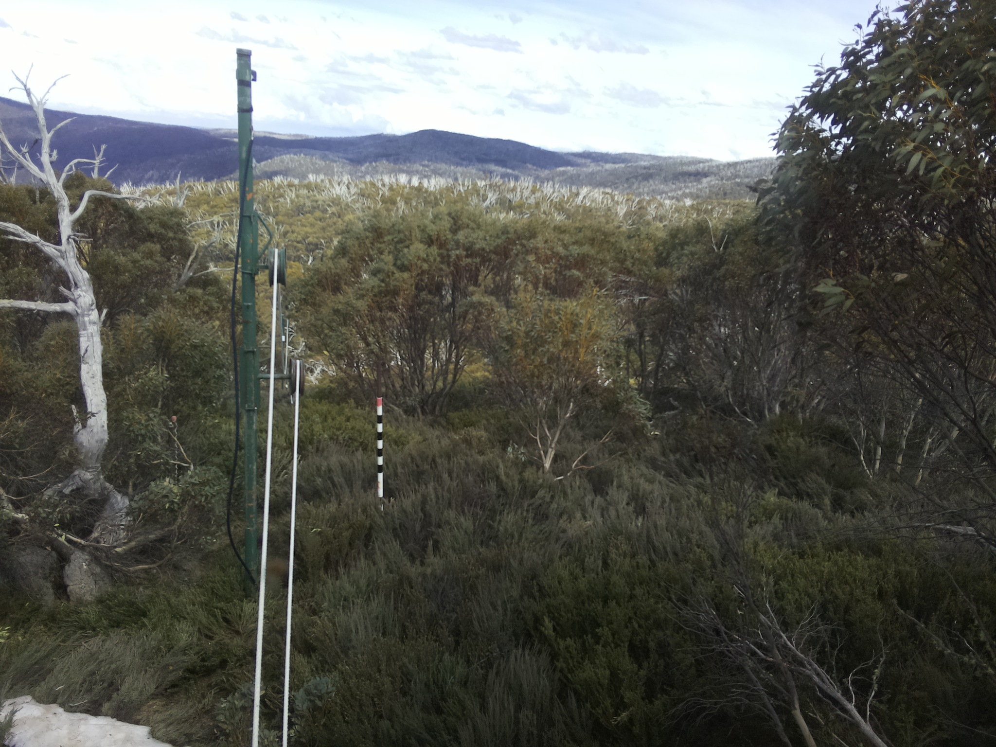Bogong Web Cam 3:00pm Friday 17th of October 2025