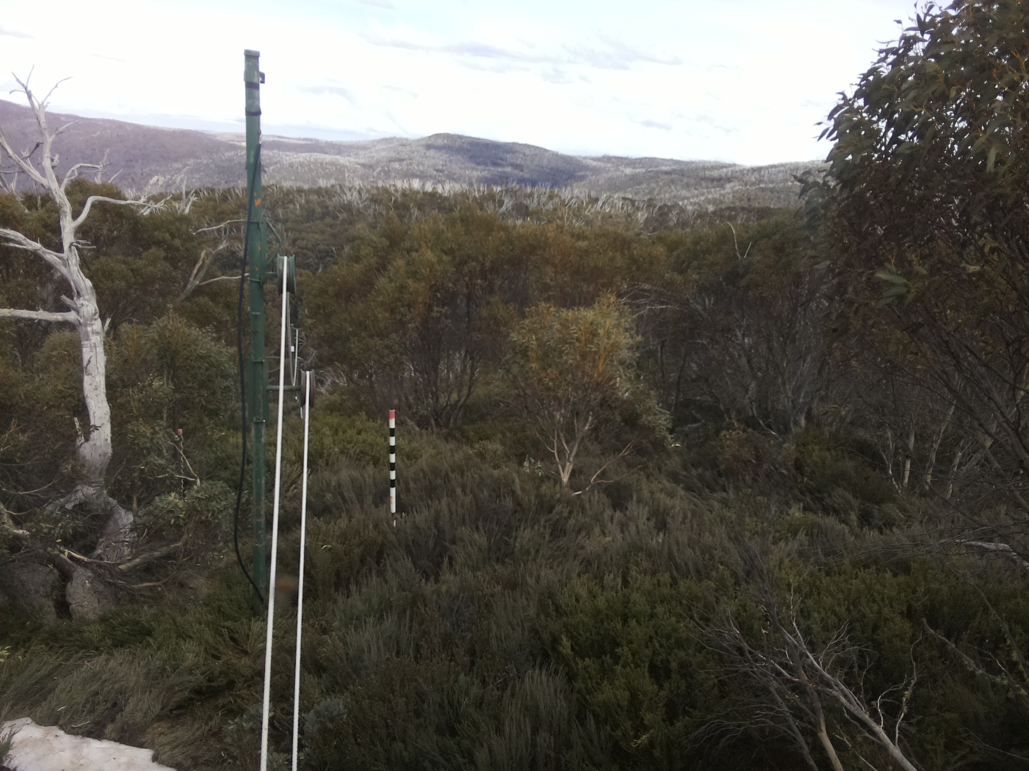 Bogong Web Cam 3:30pm Friday 17th of October 2025