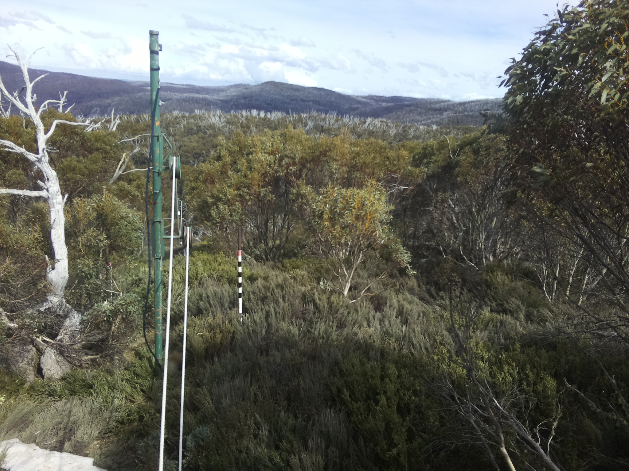 Bogong Web Cam 3:40pm Friday 17th of October 2025