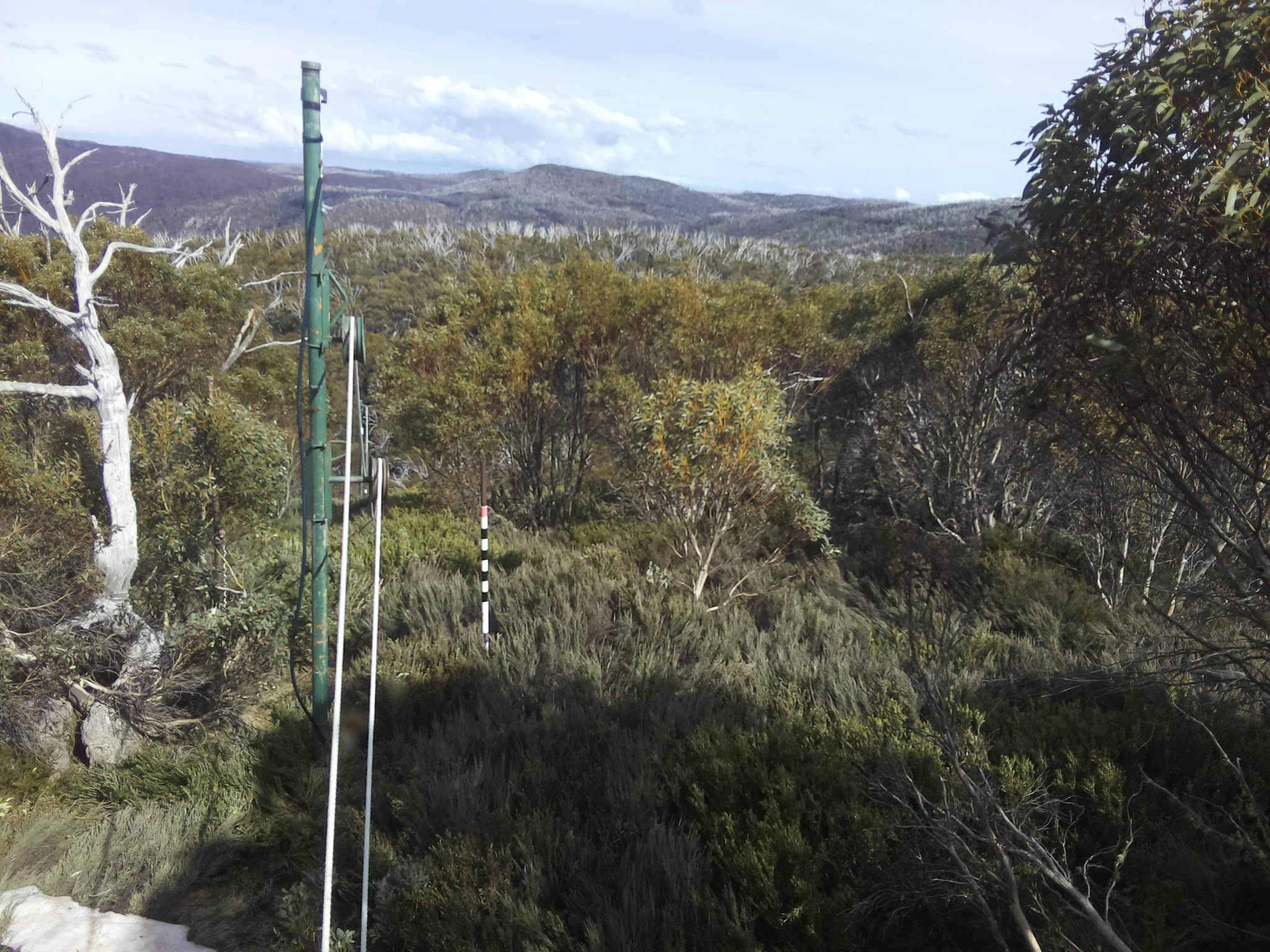 Bogong Web Cam 3:50pm Friday 17th of October 2025