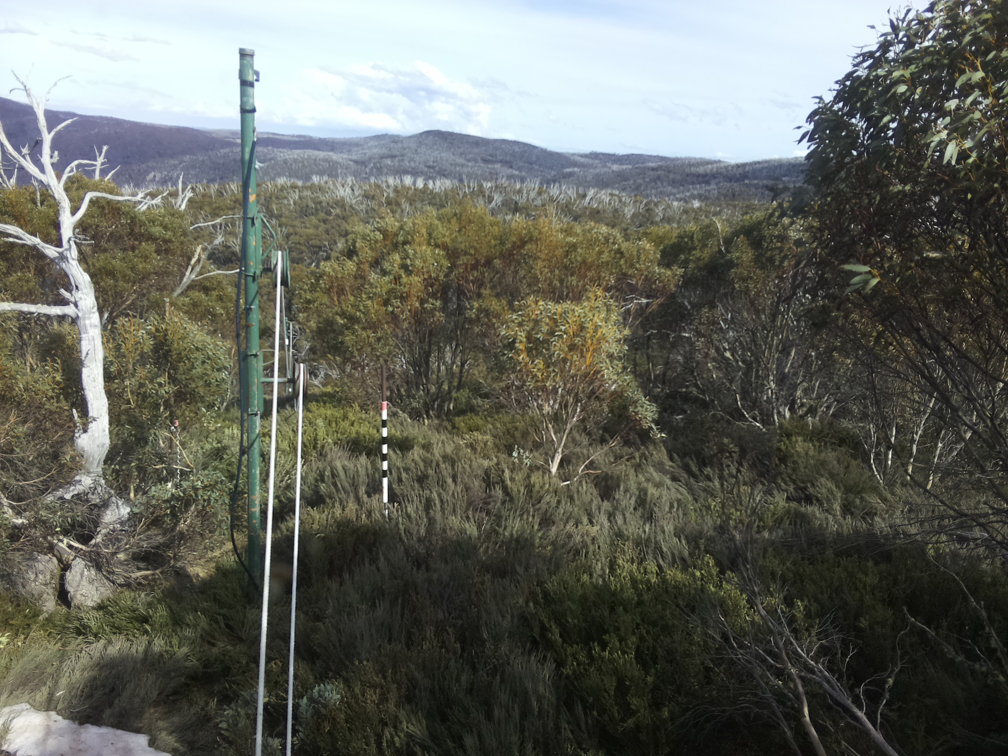 Bogong Web Cam 4:00pm Friday 17th of October 2025