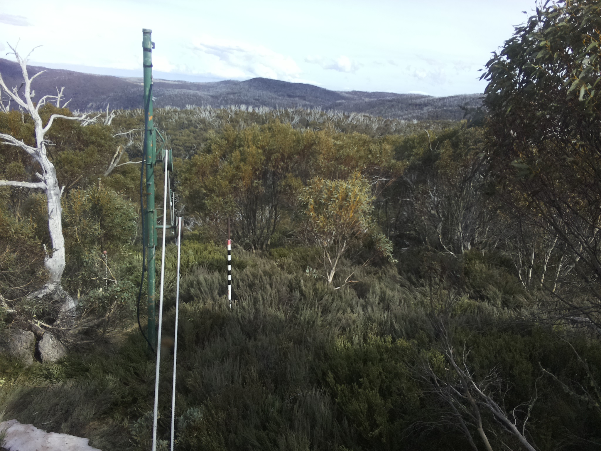Bogong Web Cam 4:10pm Friday 17th of October 2025